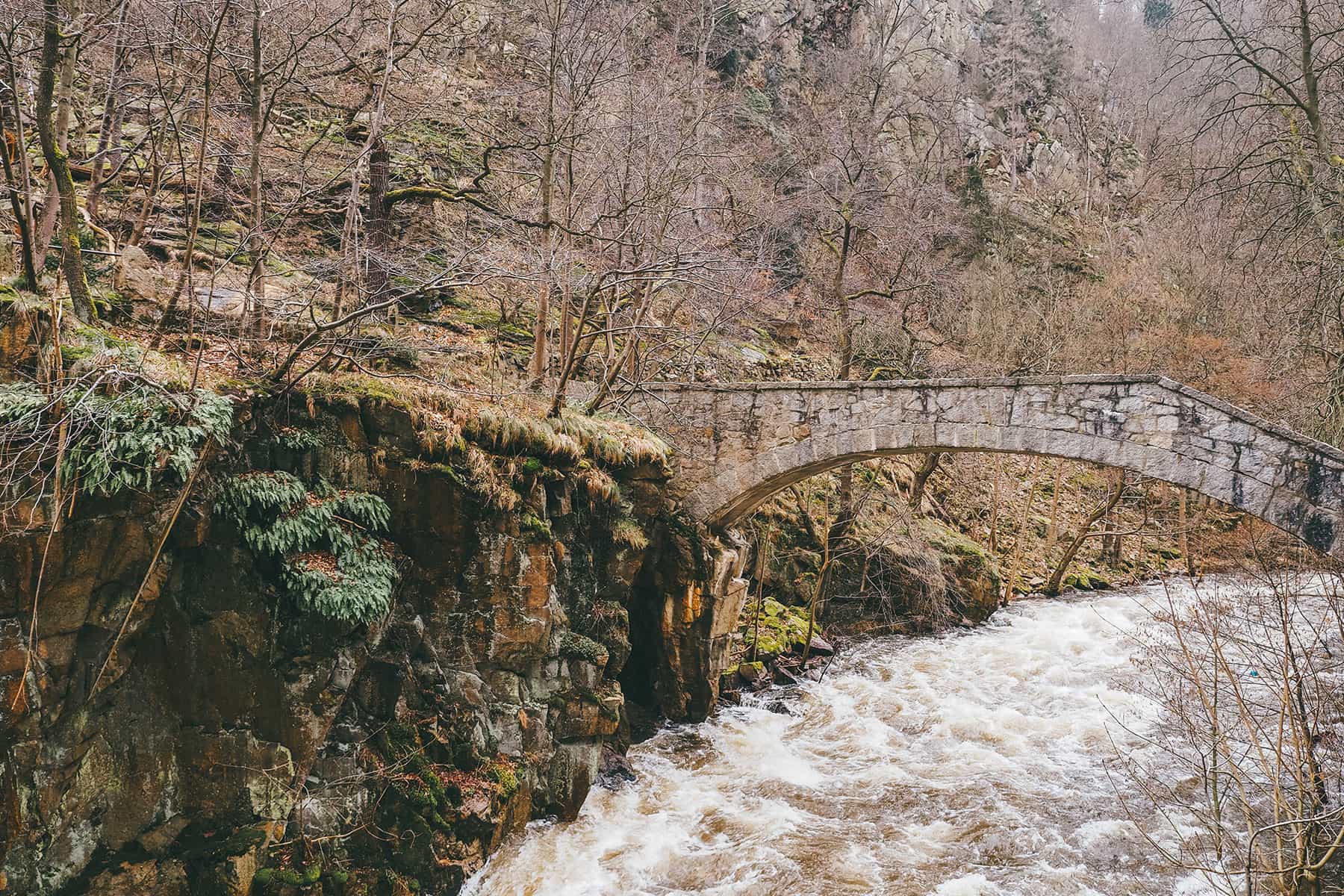 Bodetal Harztal Harz Sachsen Anhalt