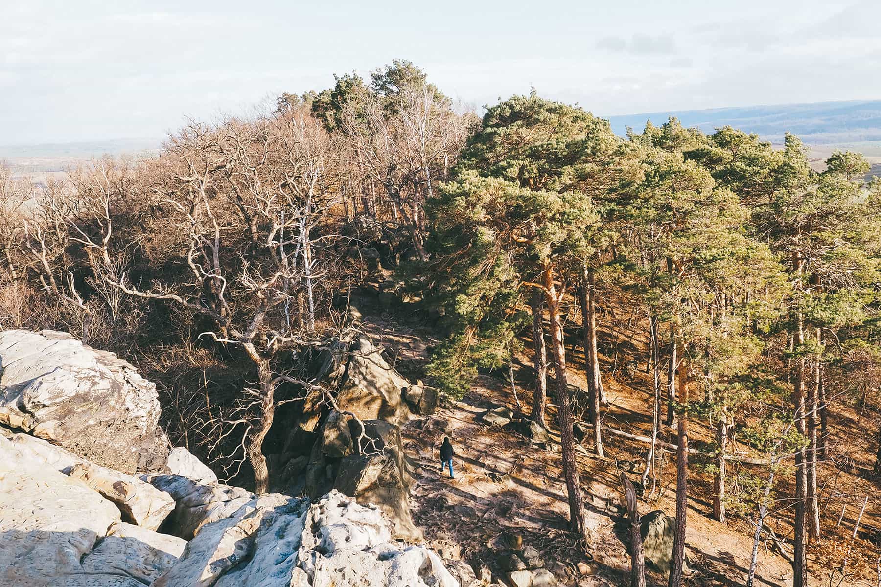 Teufelsmauer Blankenburg