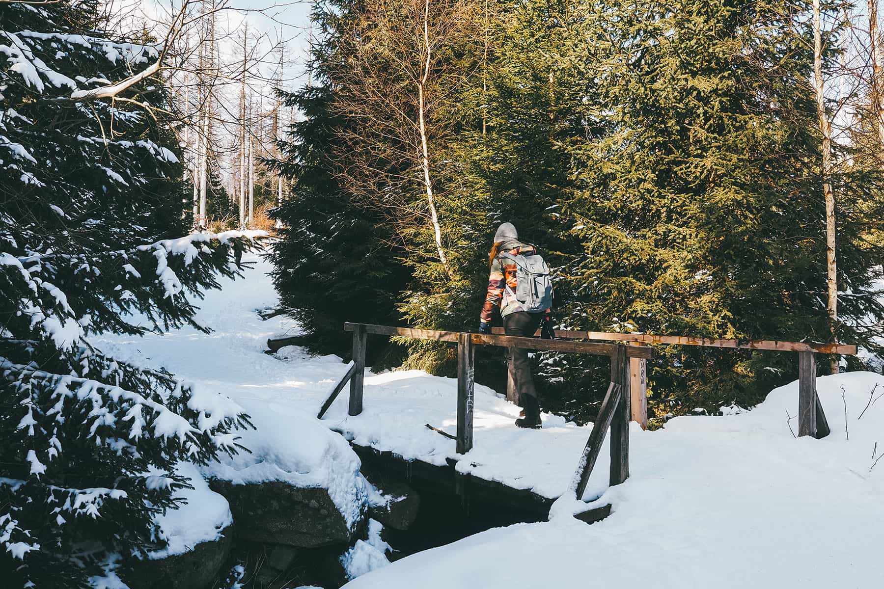 Alte Bobbahn Schierke