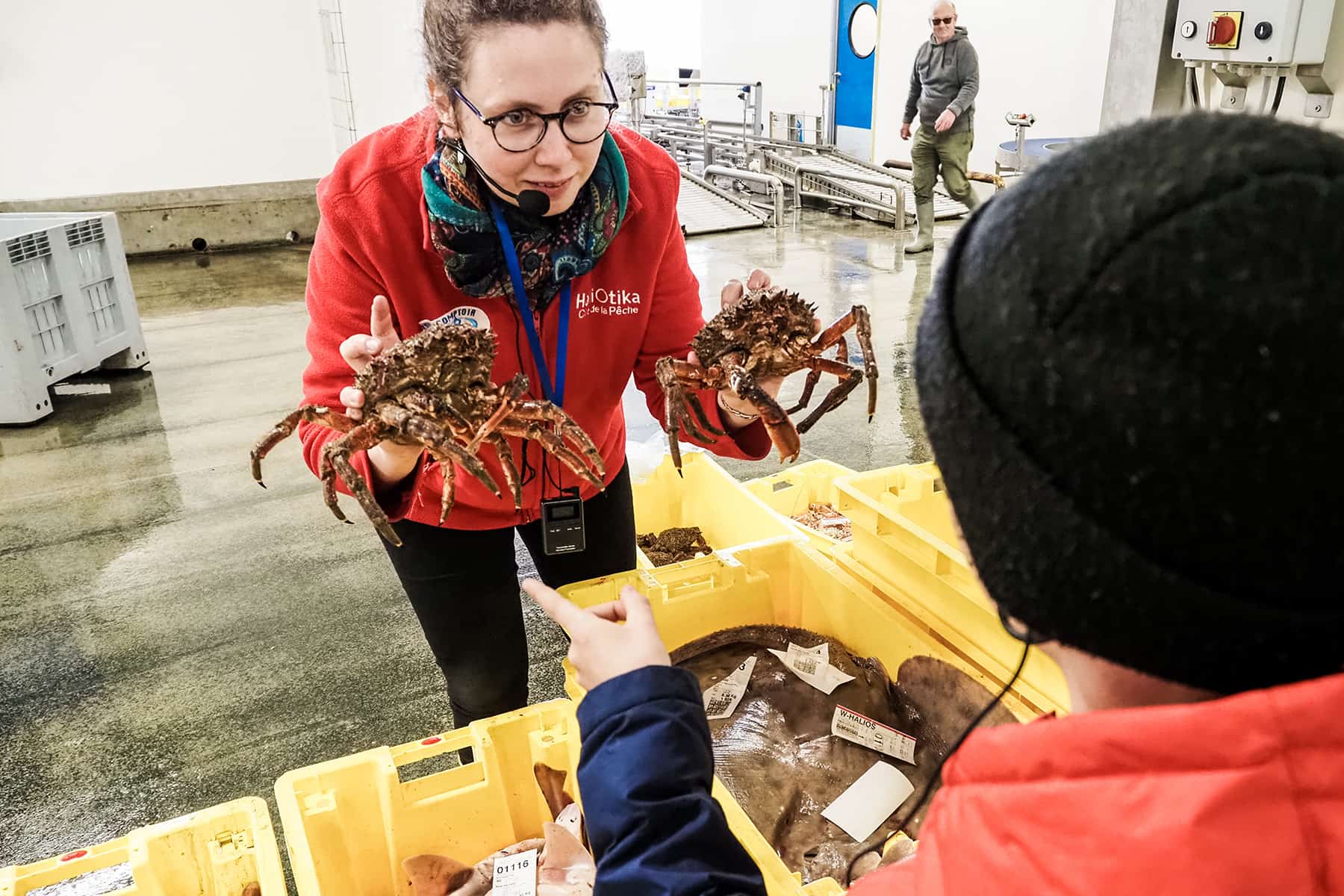 Roadtrip durch die Bretagne