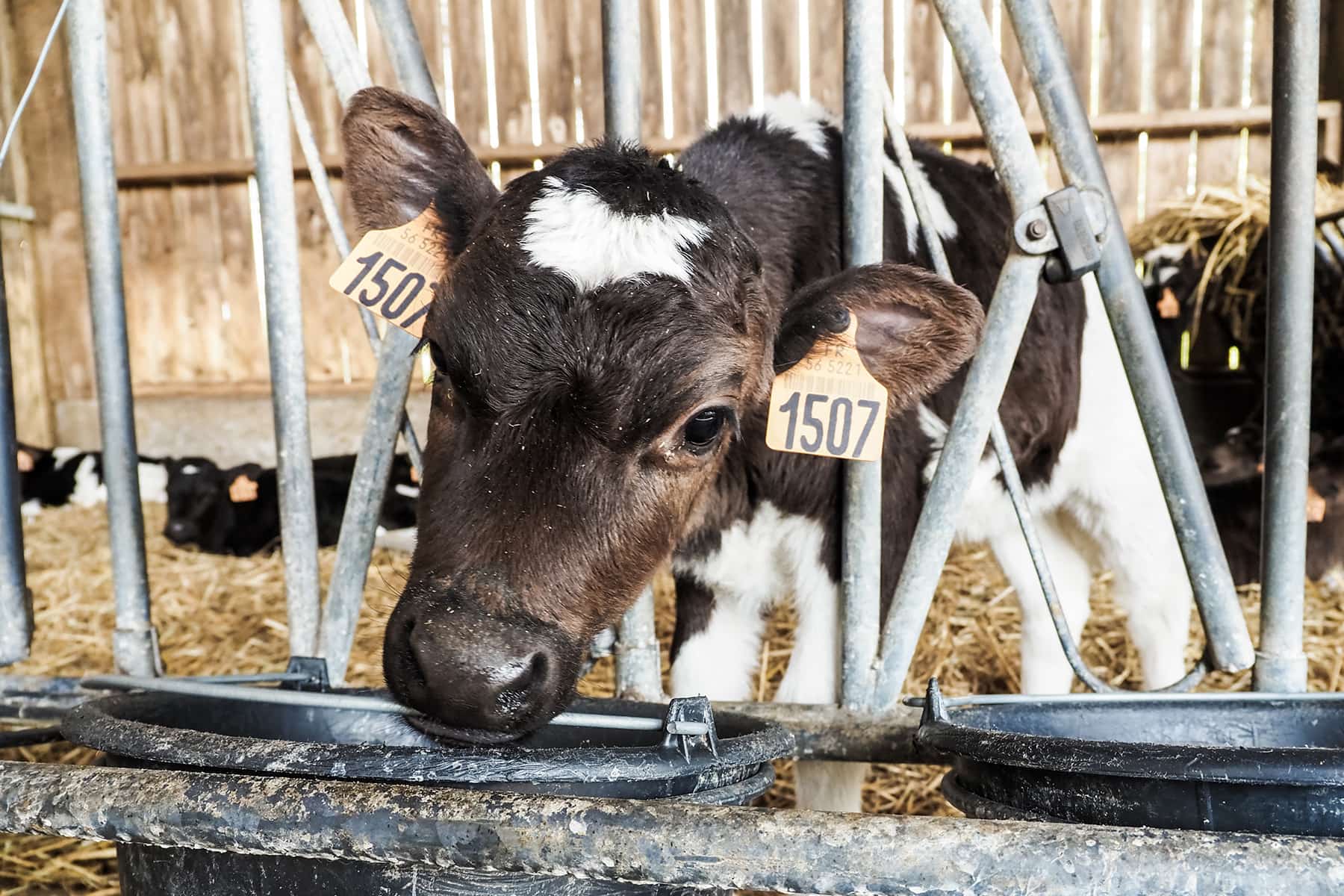 Roadtrip durch die Bretagne