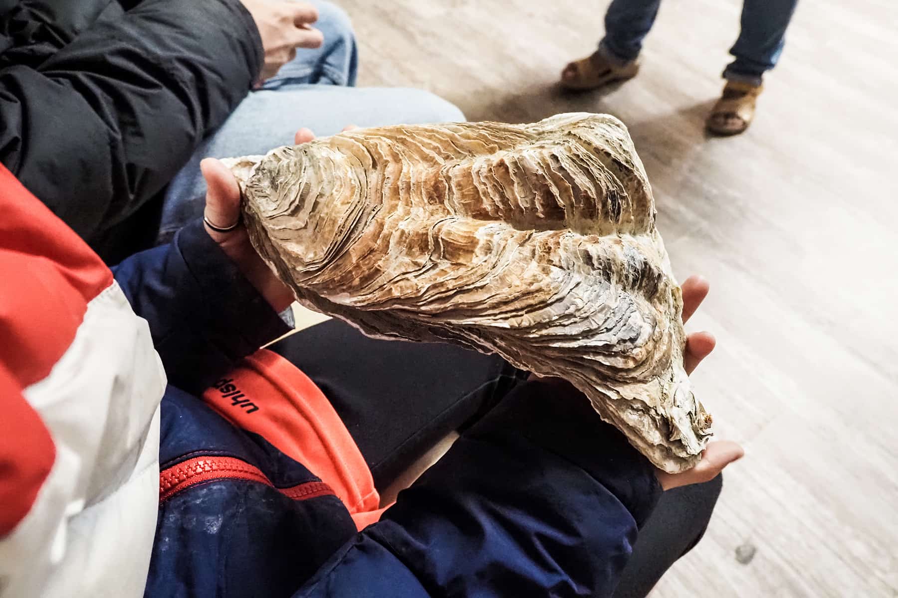 Roadtrip durch die Bretagne