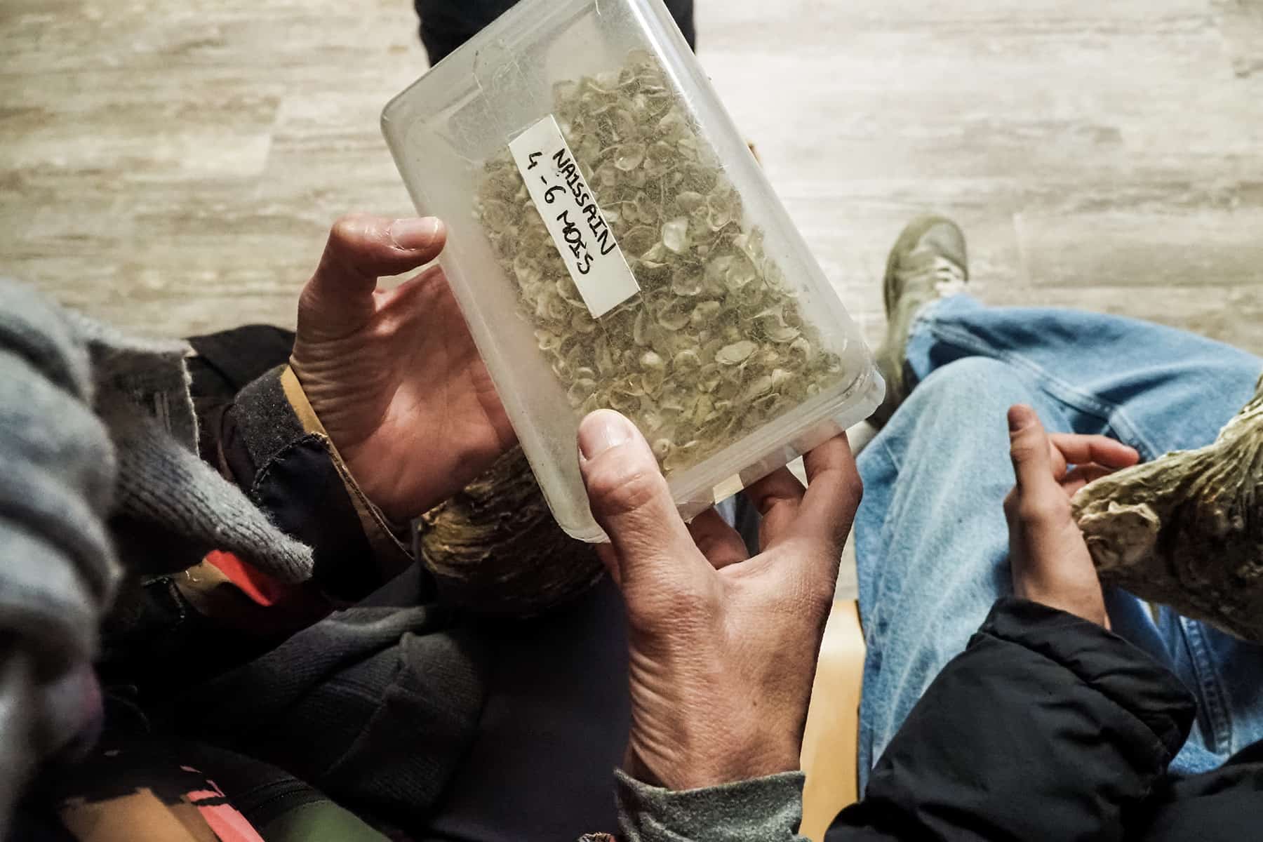 Ferien in der Bretagne