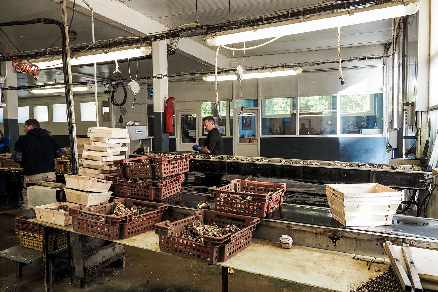 Roadtrip durch die Bretagne