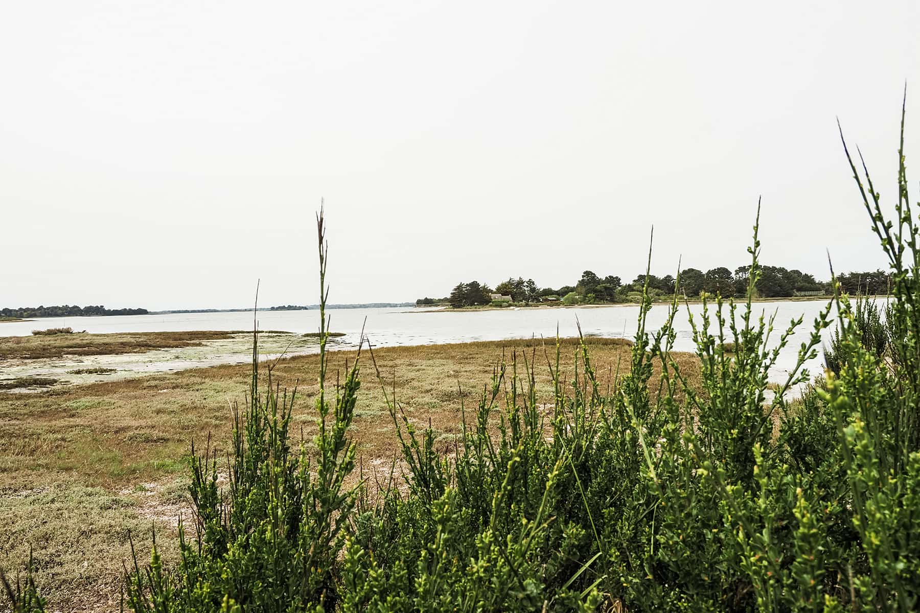 Roadtrip durch die Bretagne