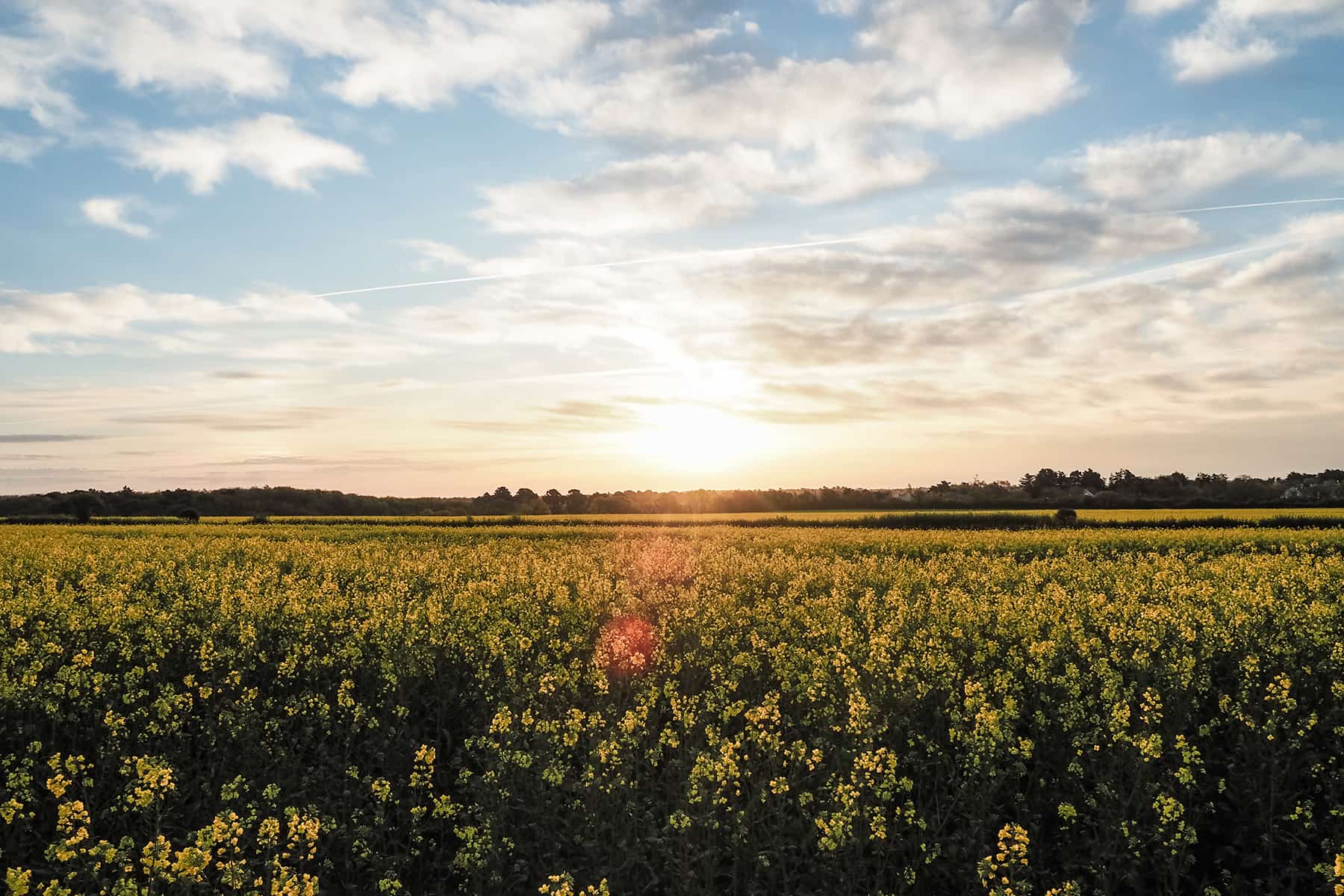 Roadtrip durch die Bretagne