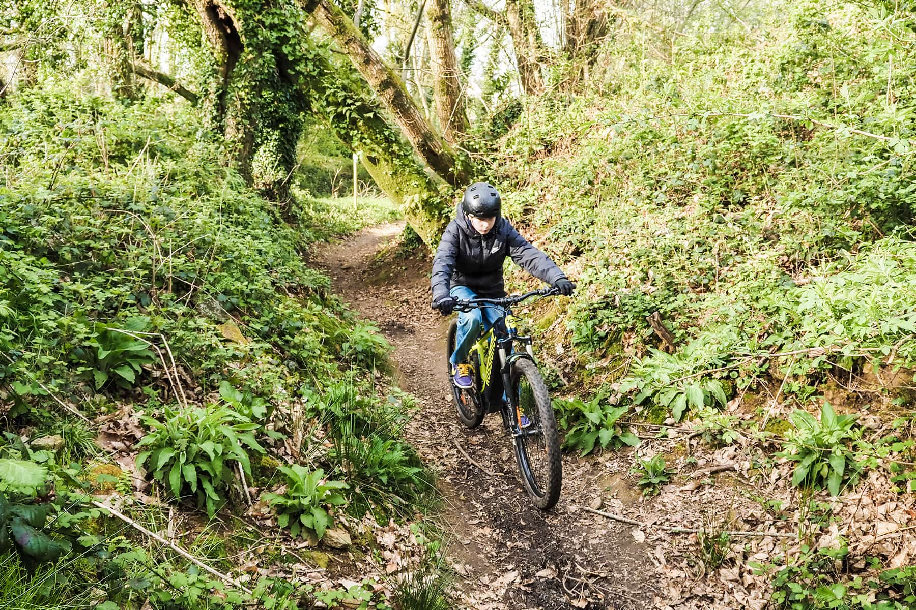 Roadtrip durch die Bretagne