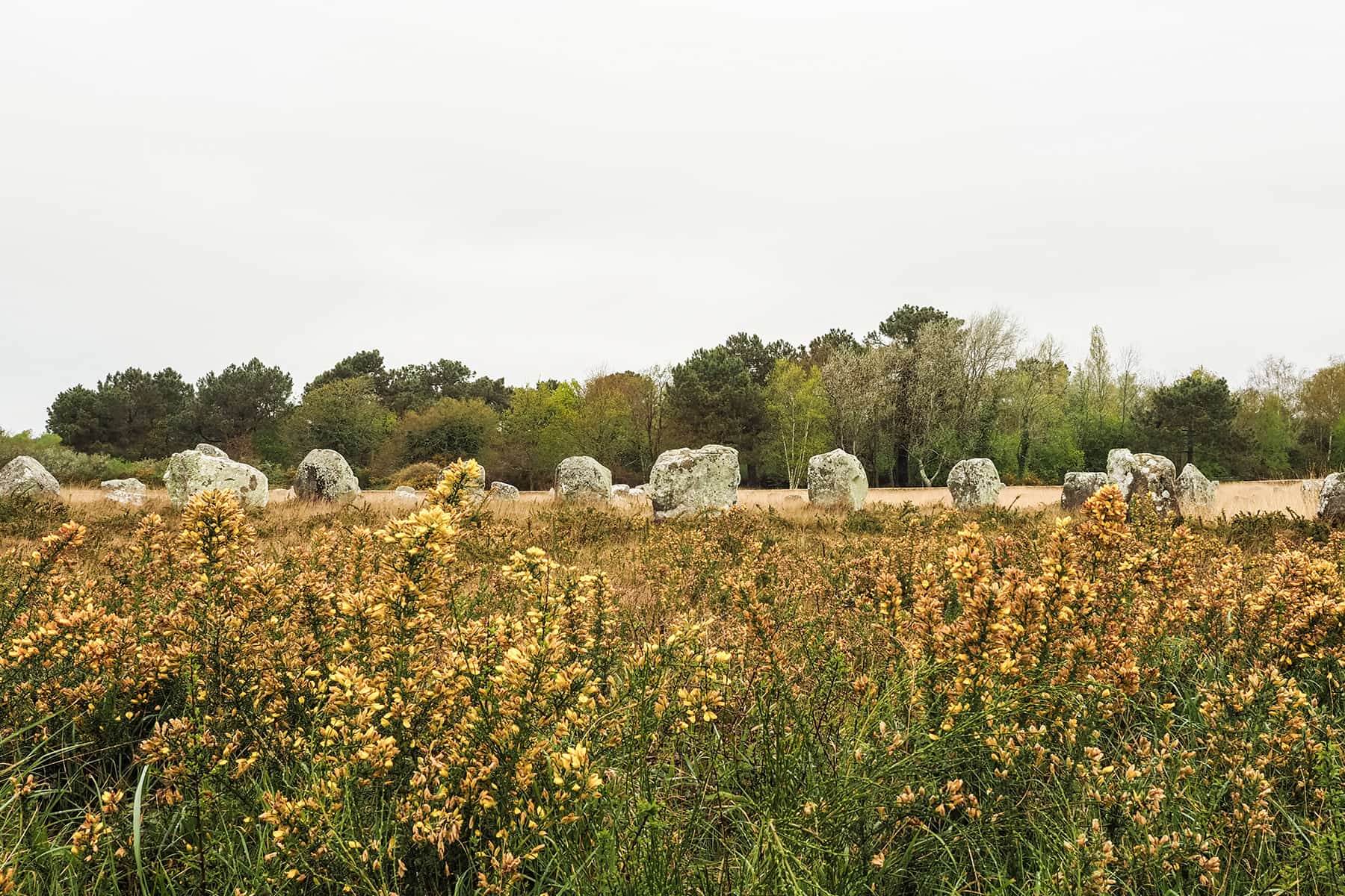 Roadtrip durch die Bretagne