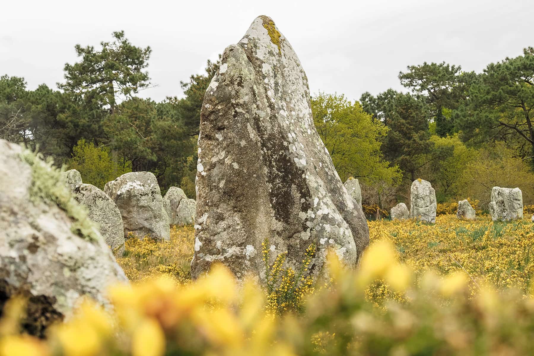 Roadtrip durch die Bretagne