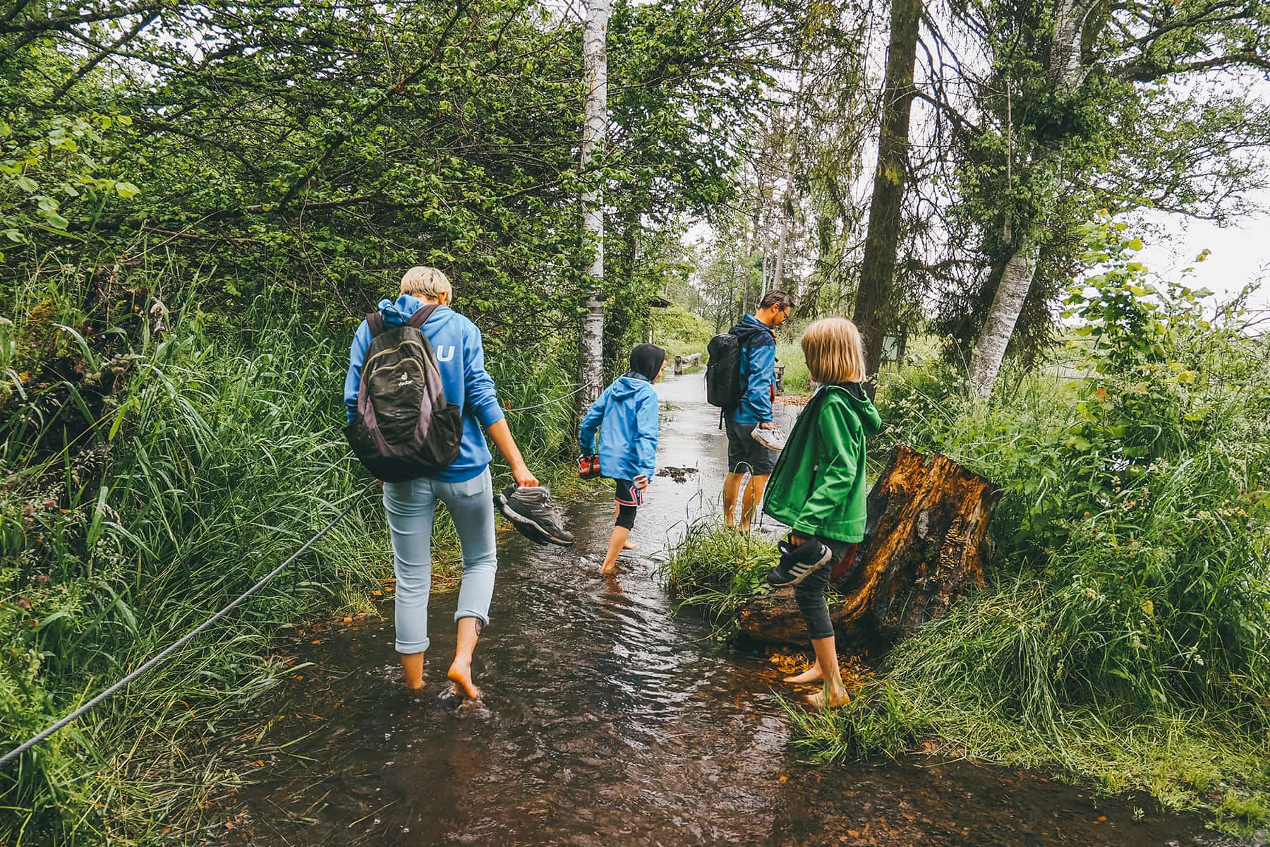 Wackelwald in Bad Buchau