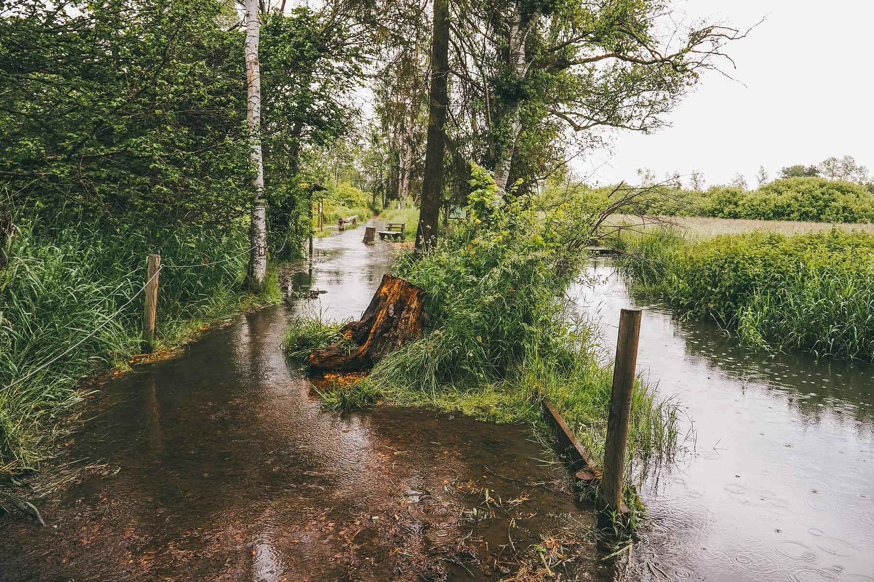 Wackelwald in Bad Buchau