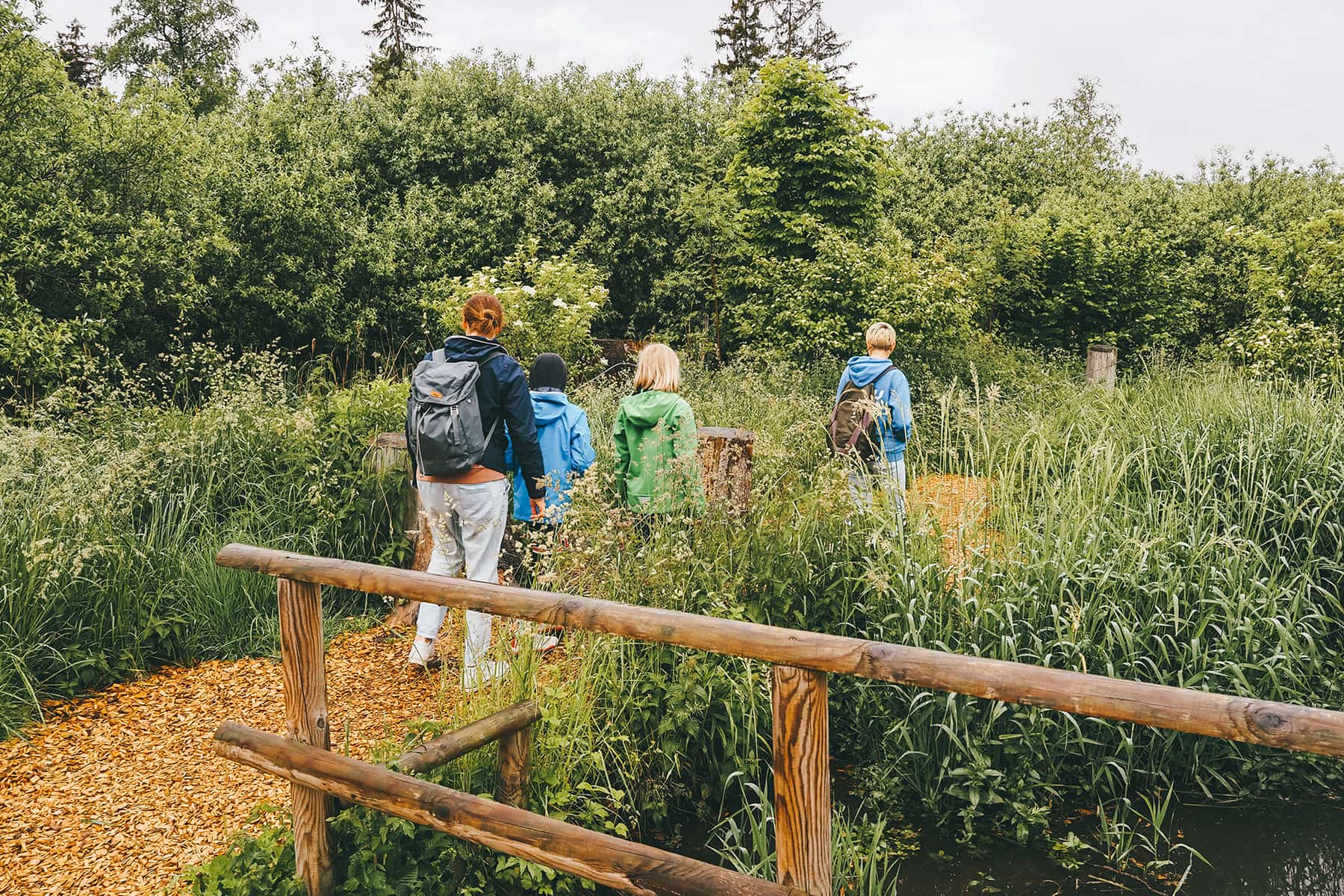 Wackelwald in Bad Buchau