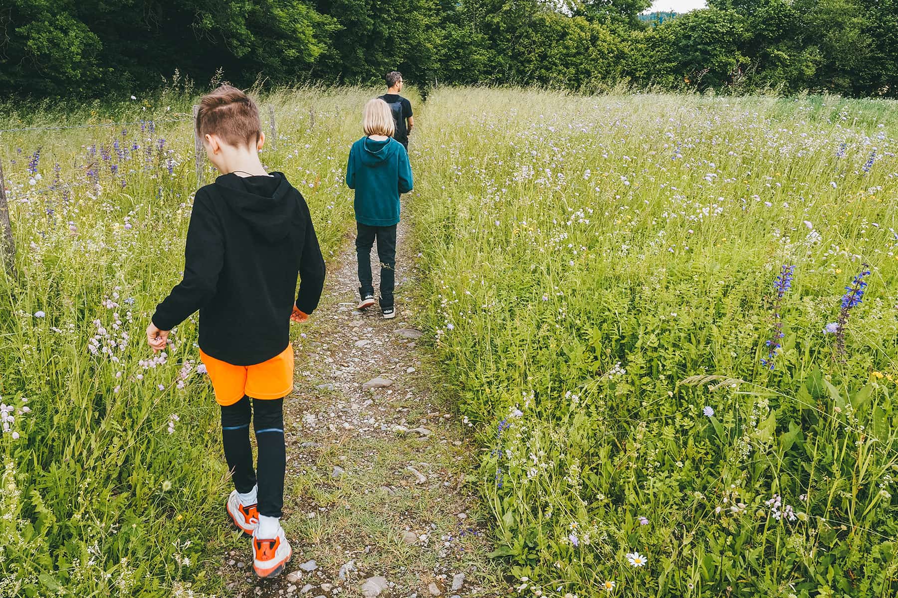 Bauernhaus Museum Wolfegg