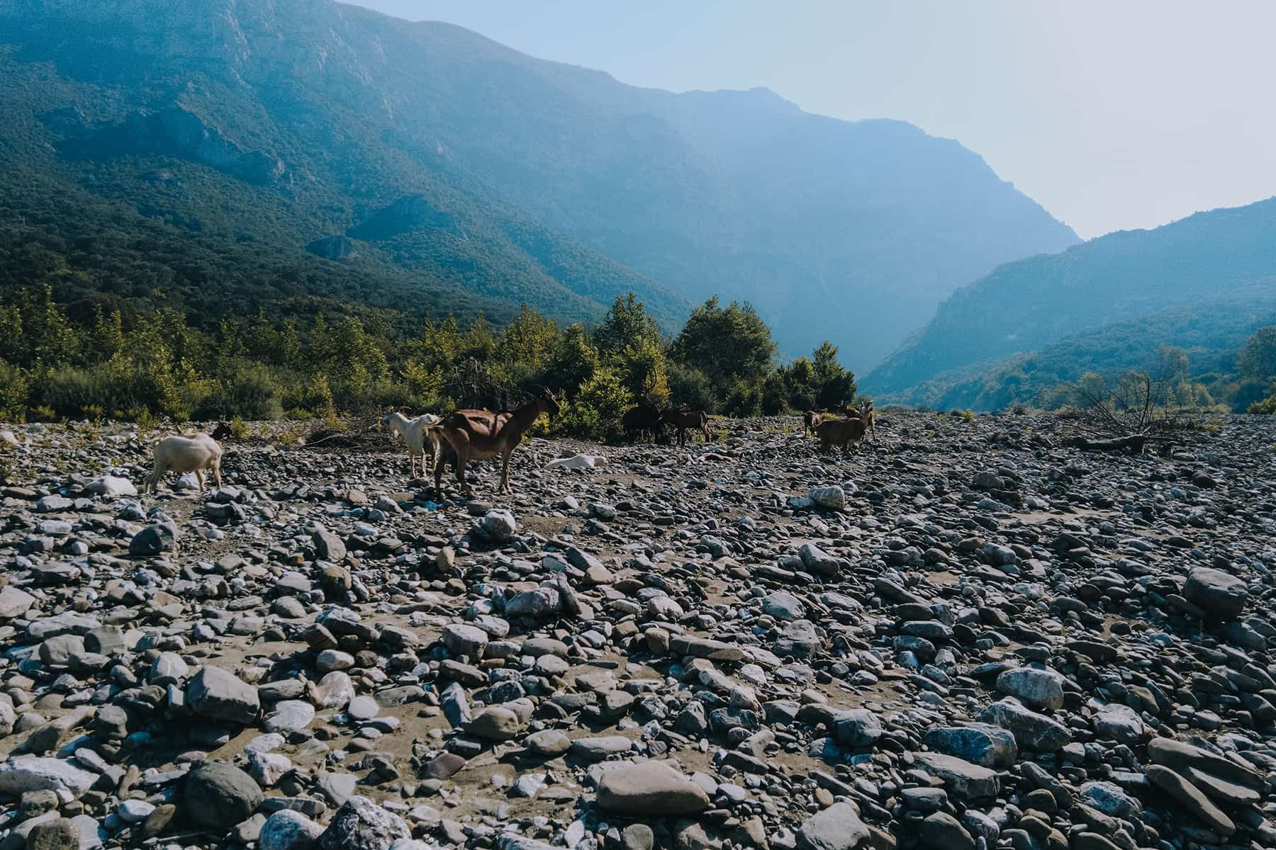 Wanderung in Albanien