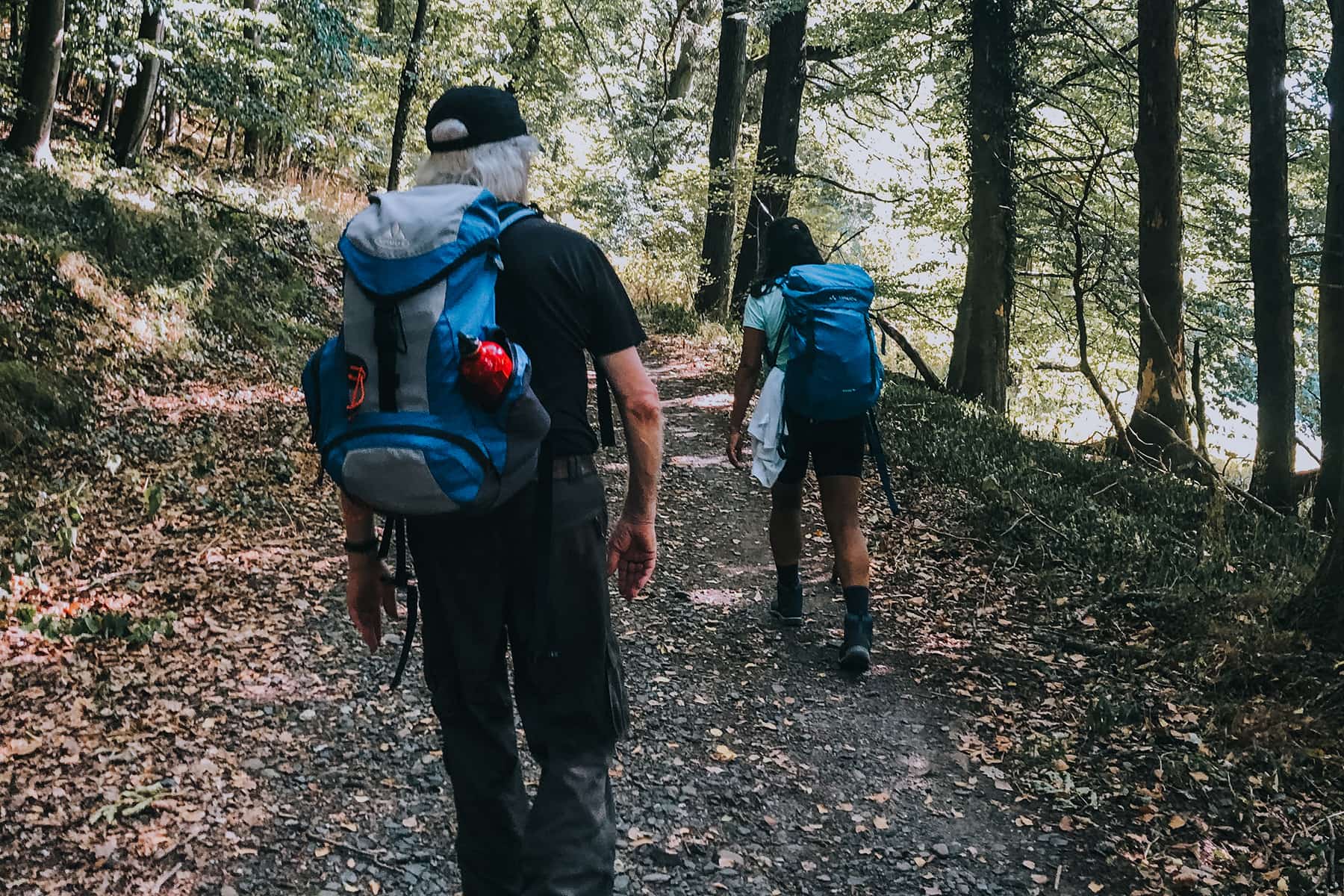 Wandern durch das Siebengebirge