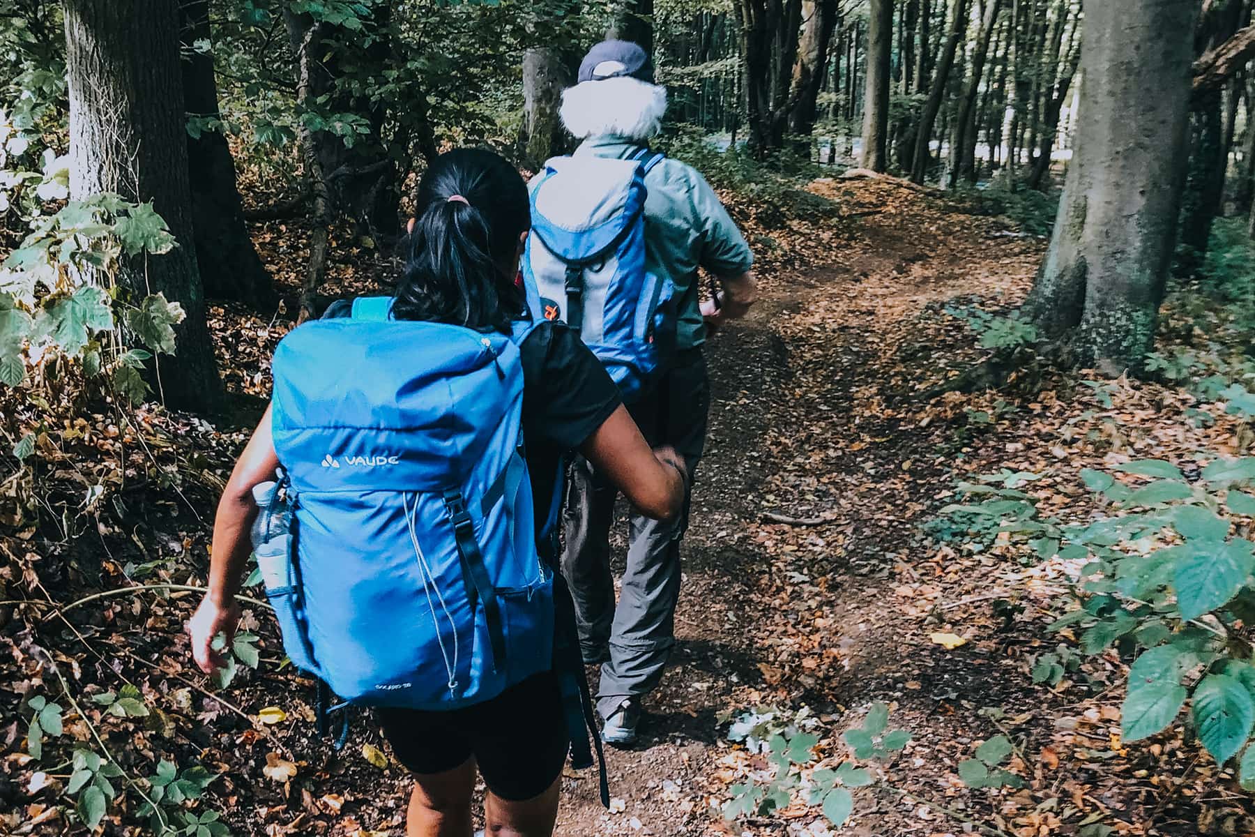 Es geht bergab nach Erpel