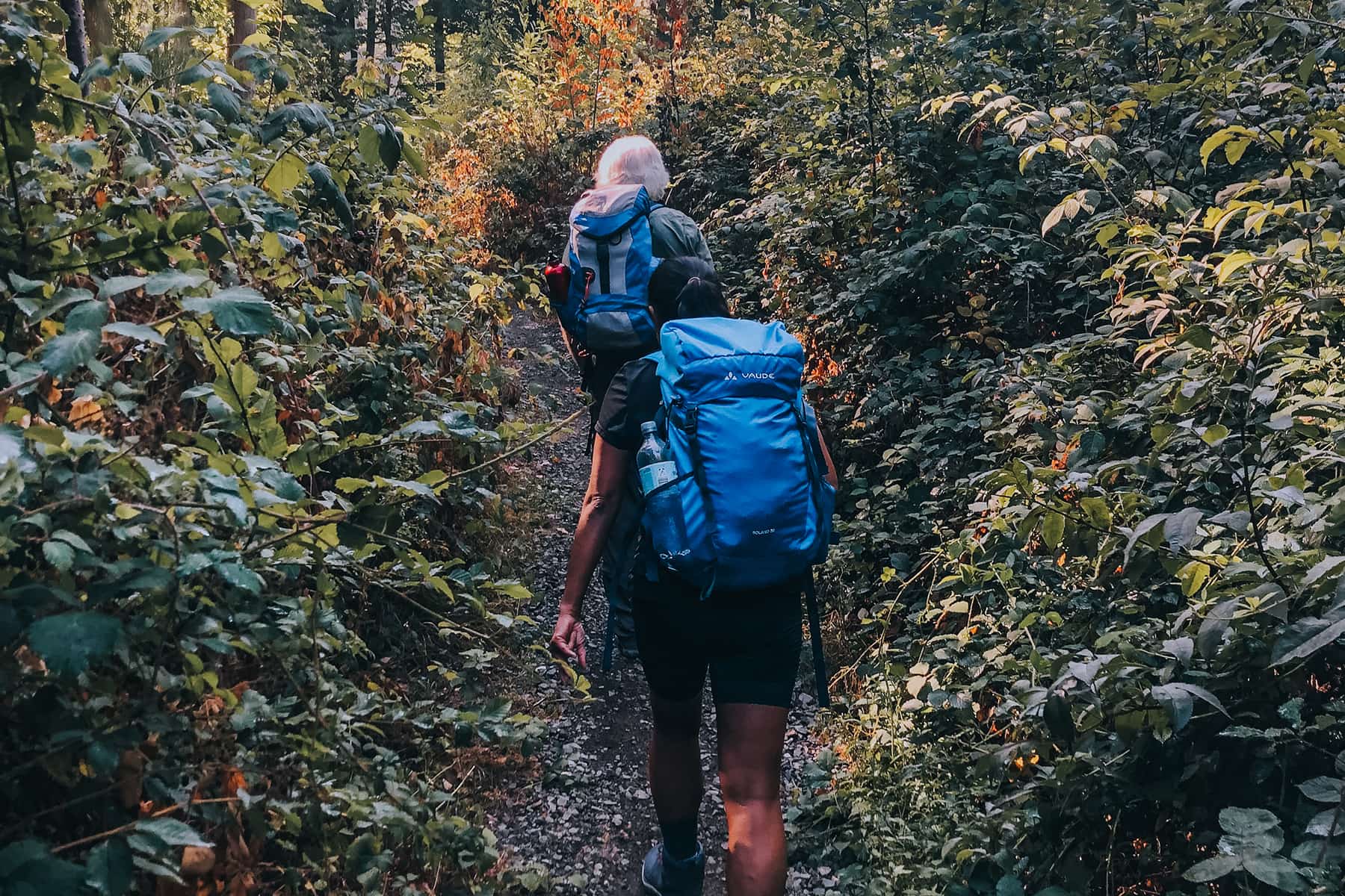Weiter geht es auf dem Rheinsteig