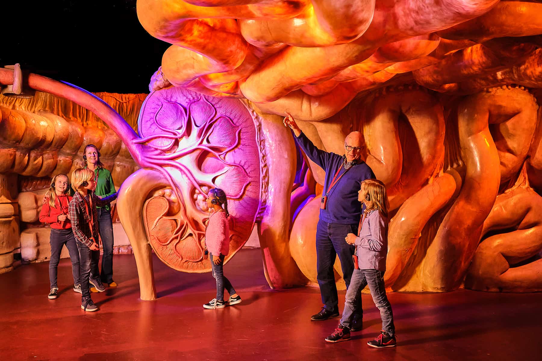 Museum Corpus Niederlande