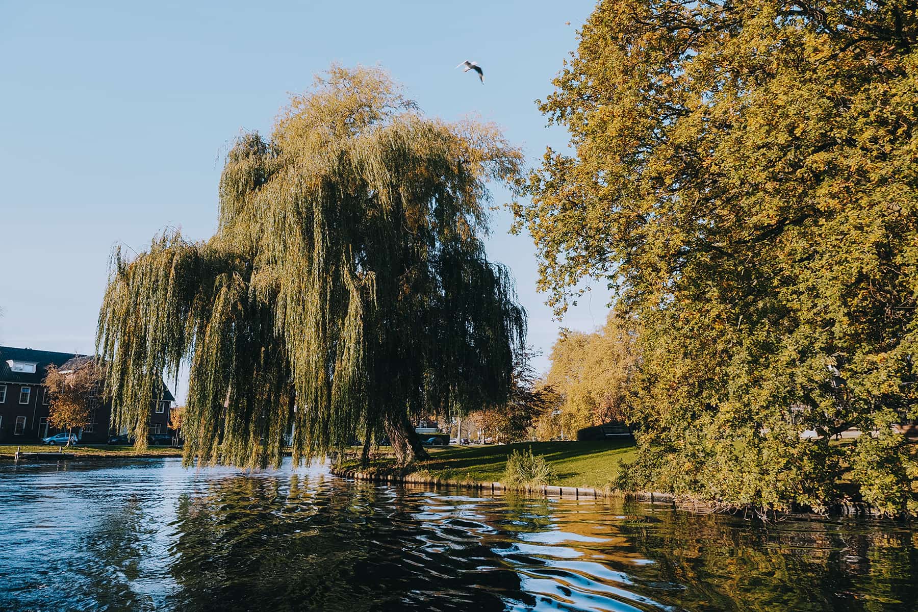 Grachtenfahrt in Leiden