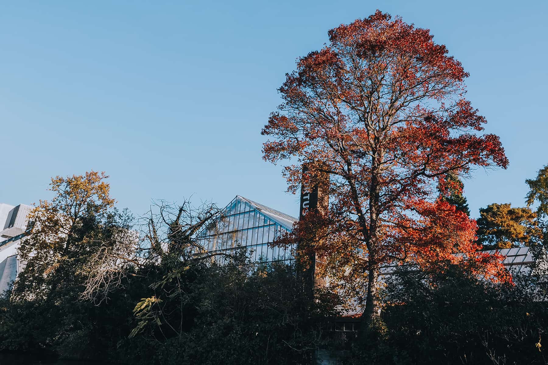 Grachtenfahrt in Leiden