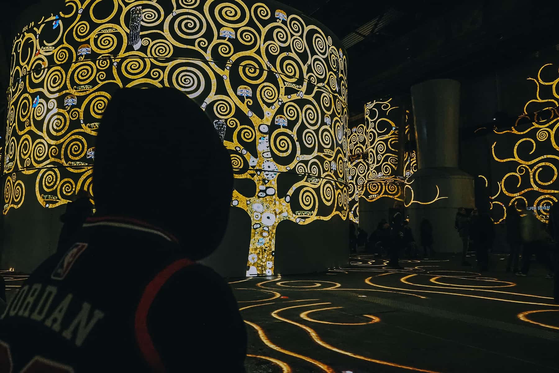 Phoenix des Lumières