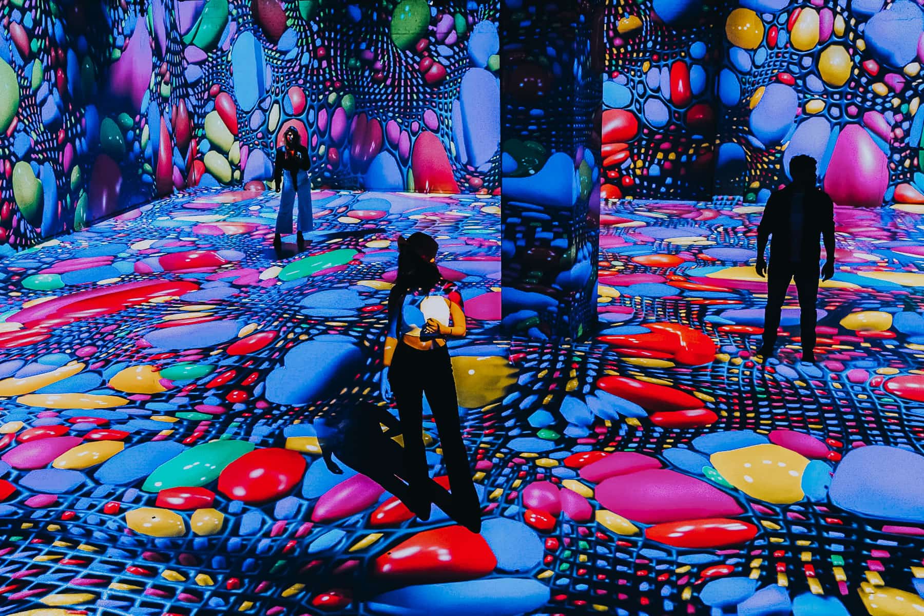 Motion Experience in Eindhoven