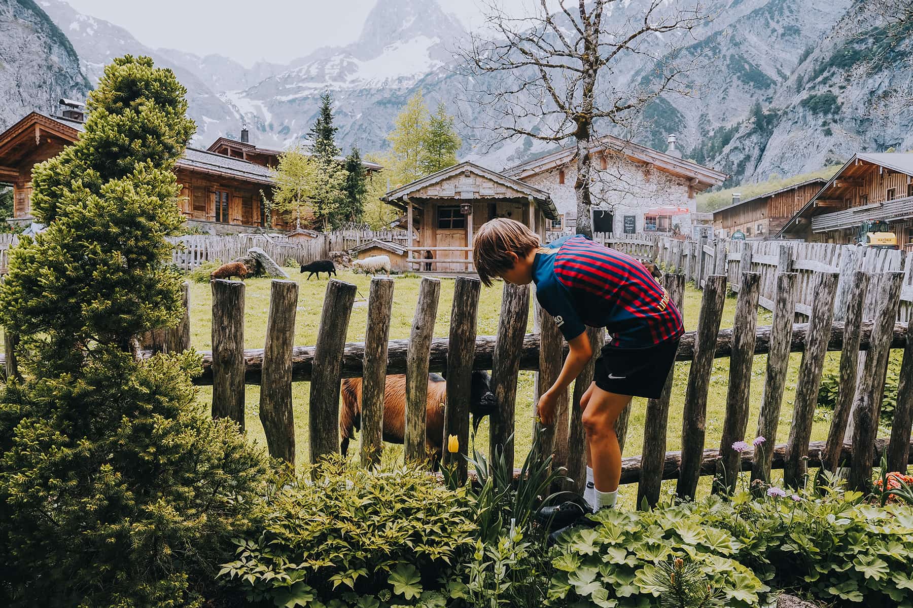 Gramai Alm Karwendeltal