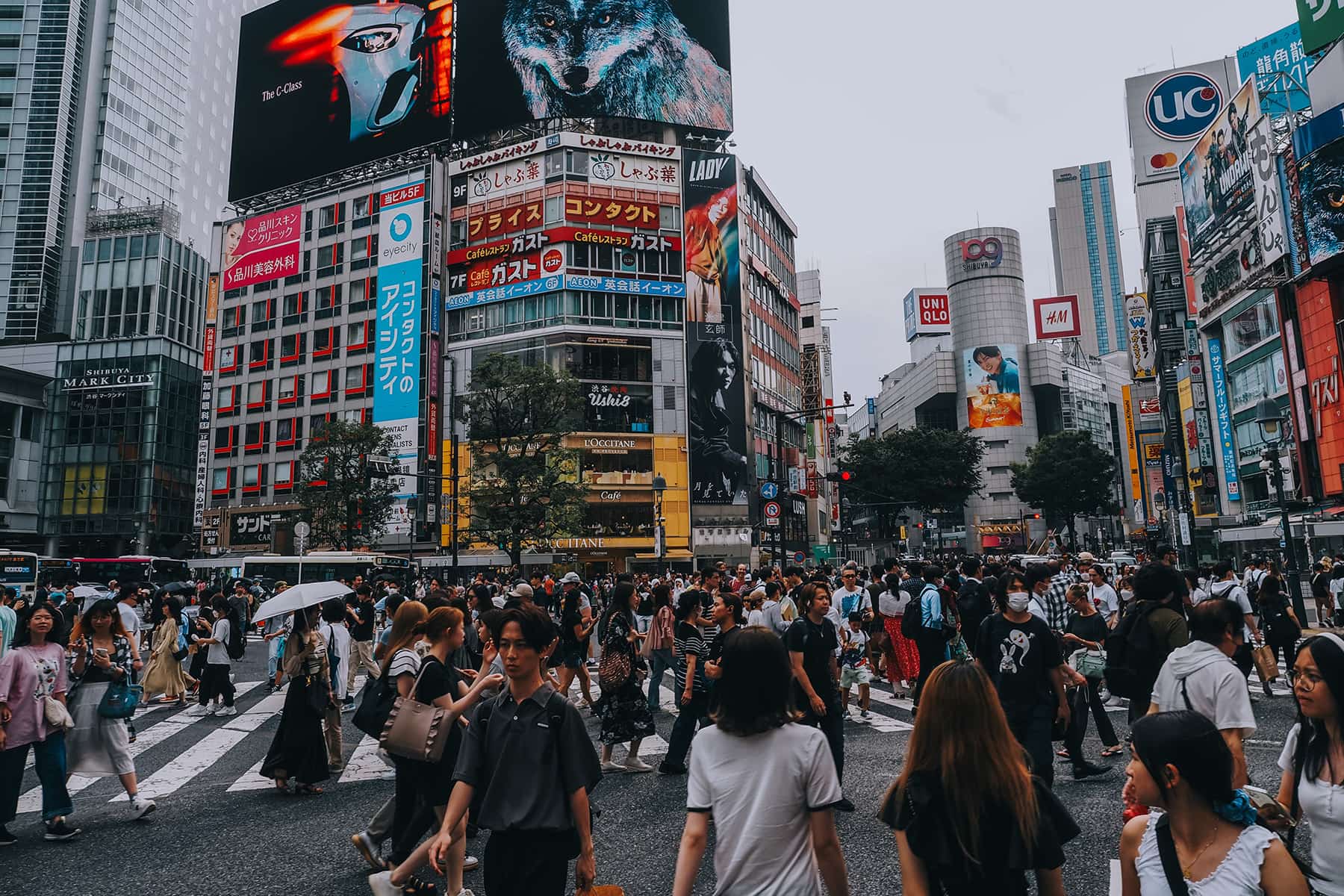 Japan Roadtrip im Campervan