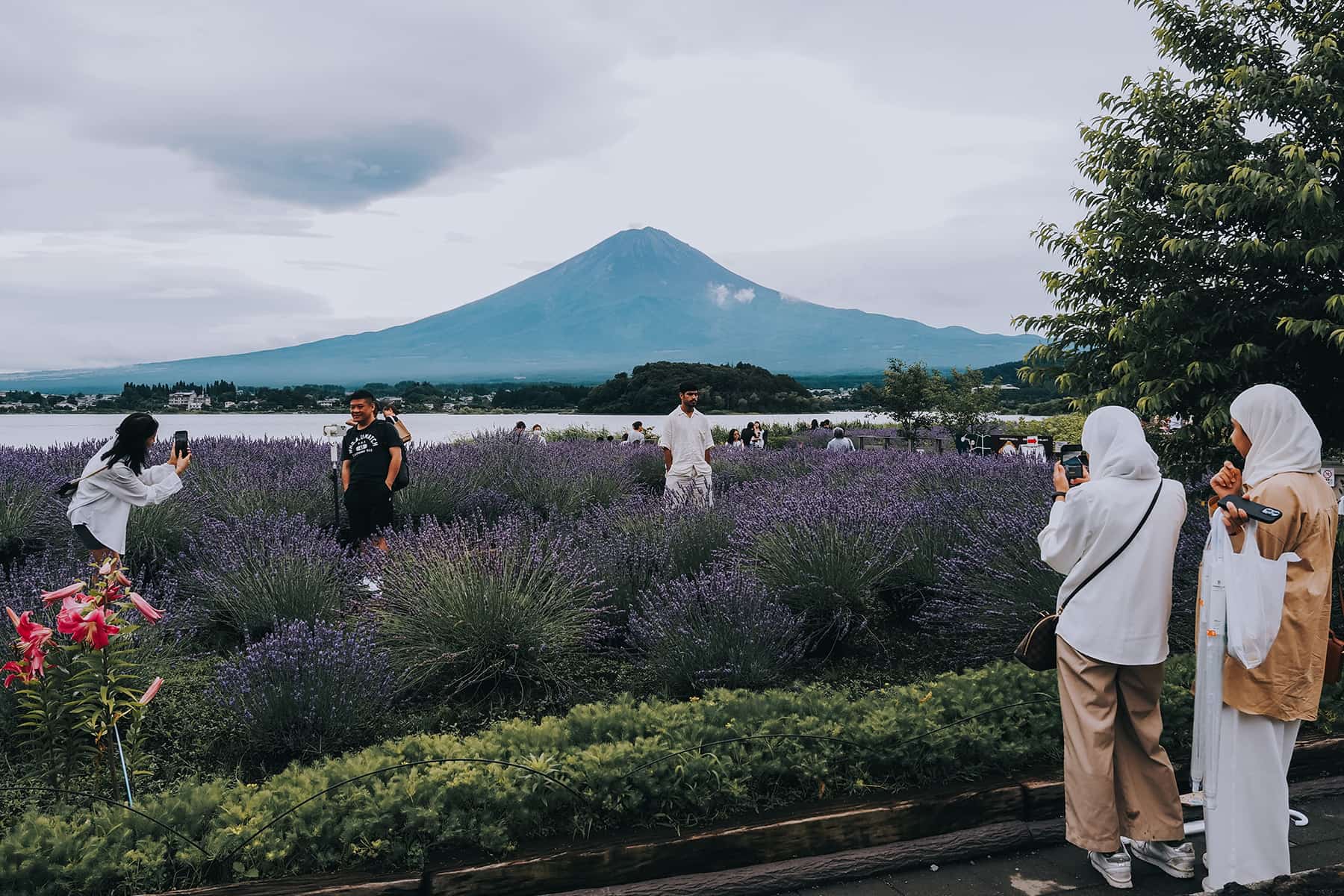 Fuji in Japan