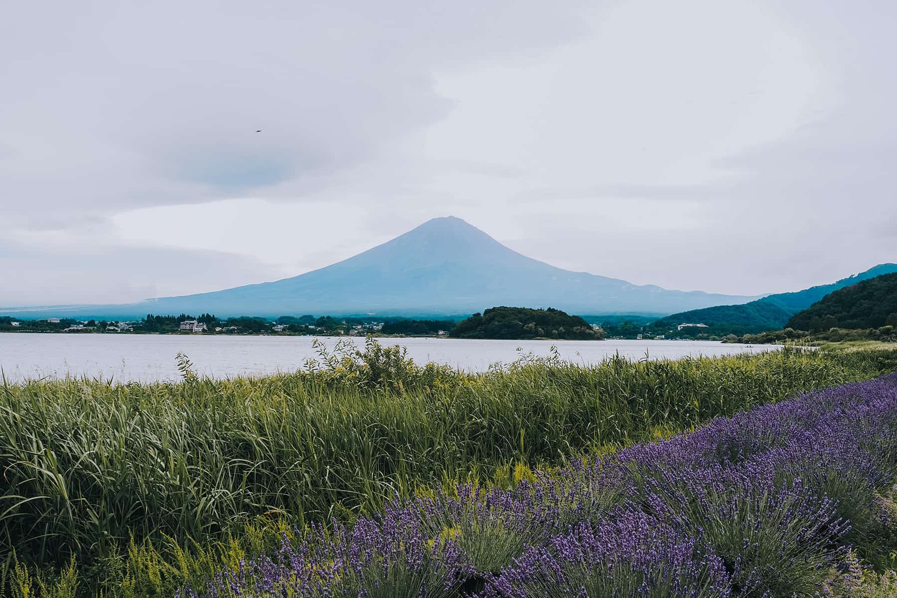 Fuji in Japan