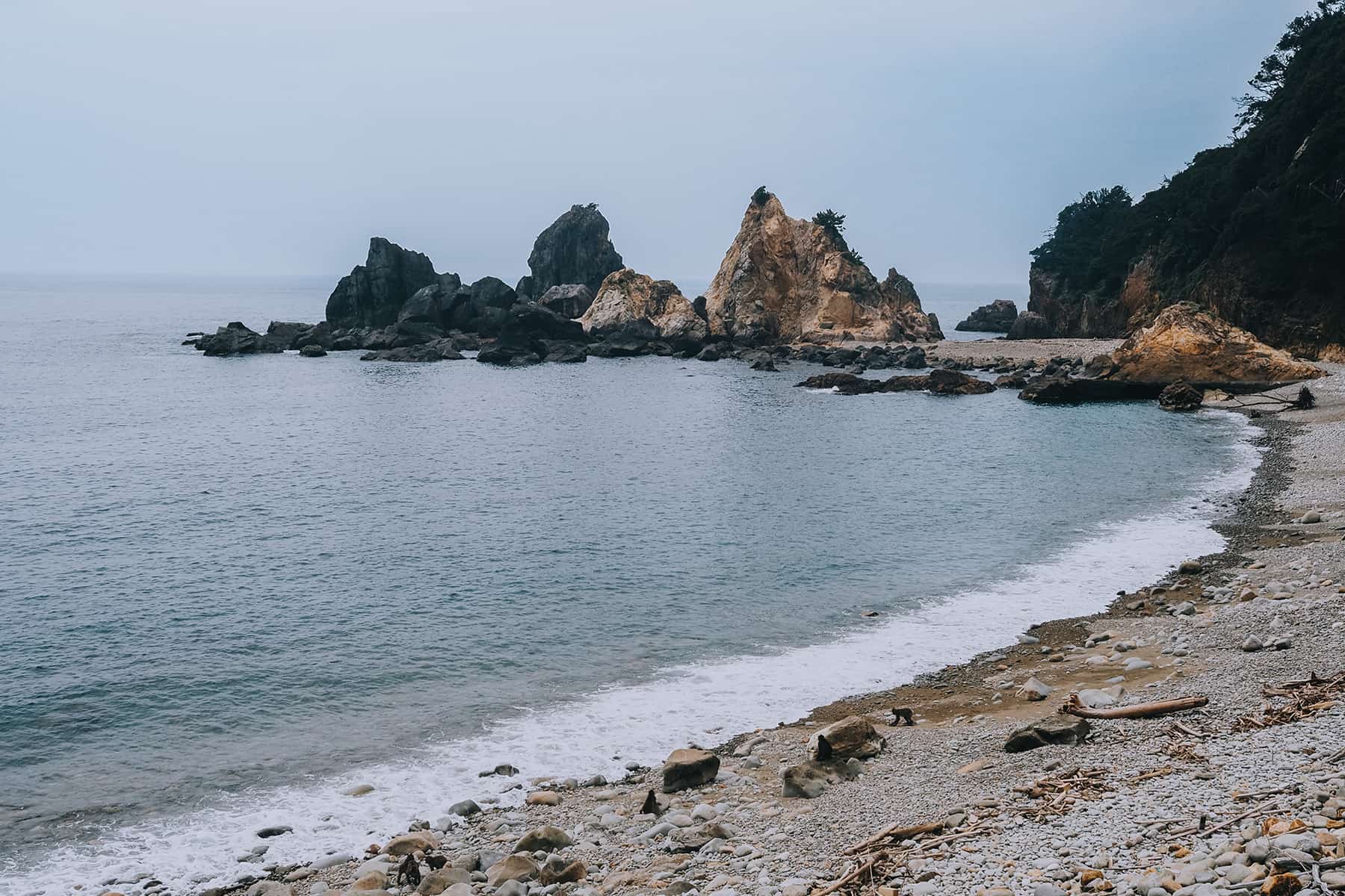 Hagachizaki Monkey Bay