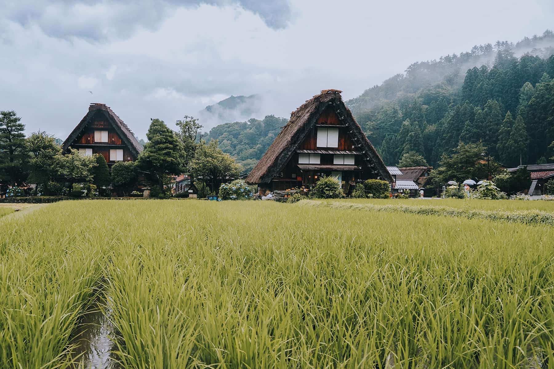 Shirakawa in Japan