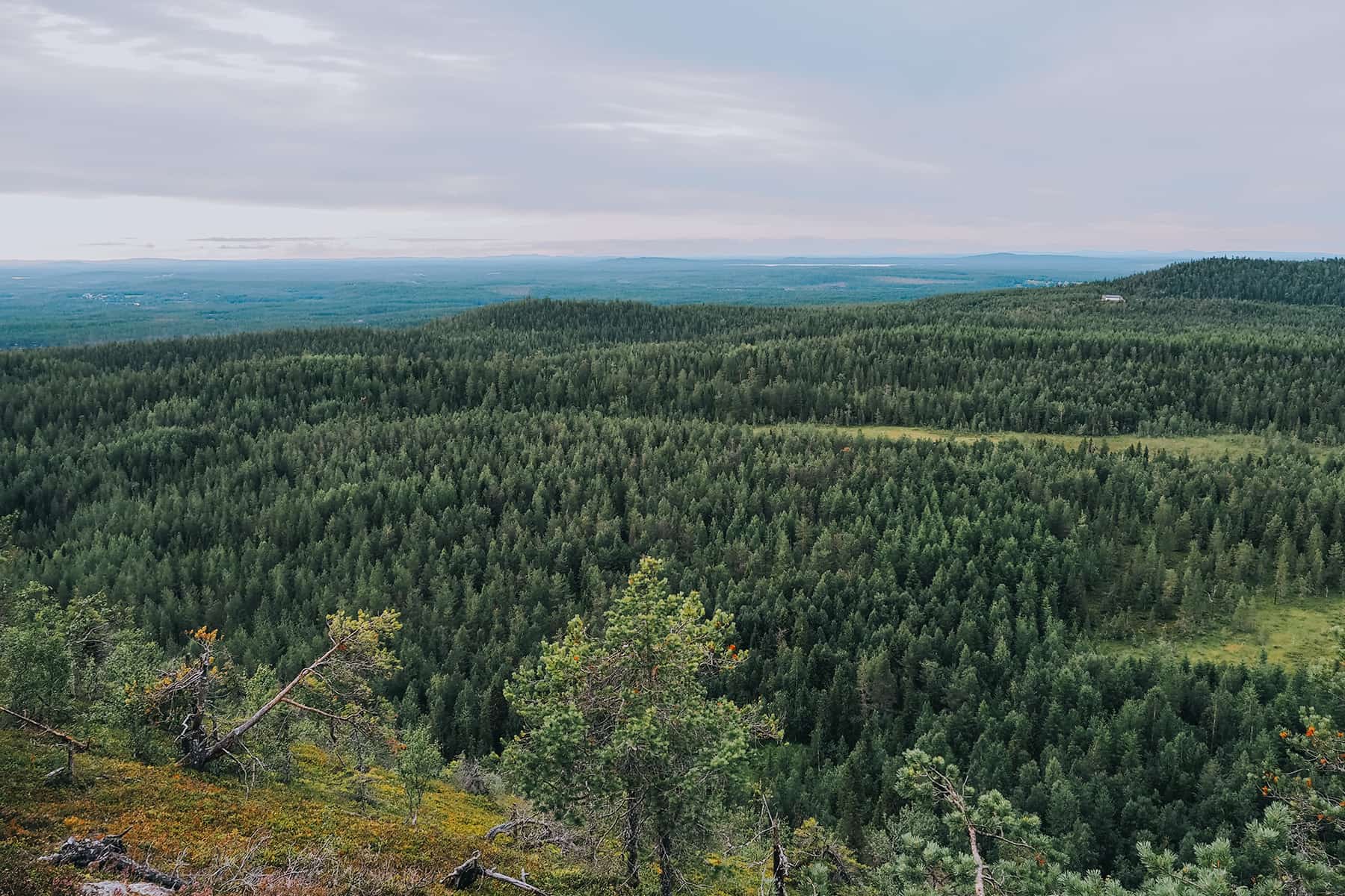 Konttainen Wanderung Finnland
