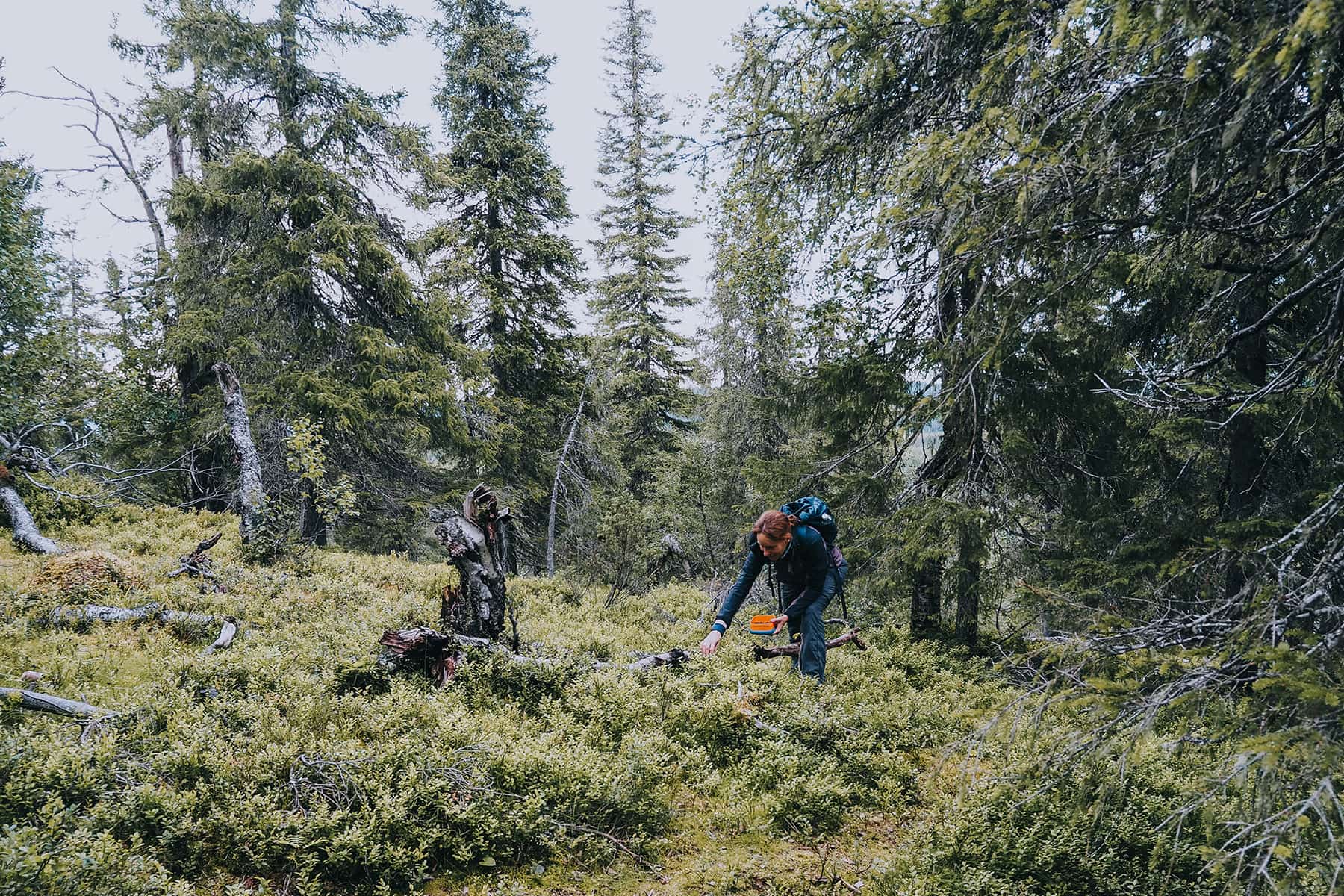 Wandern in Finnland Lappland