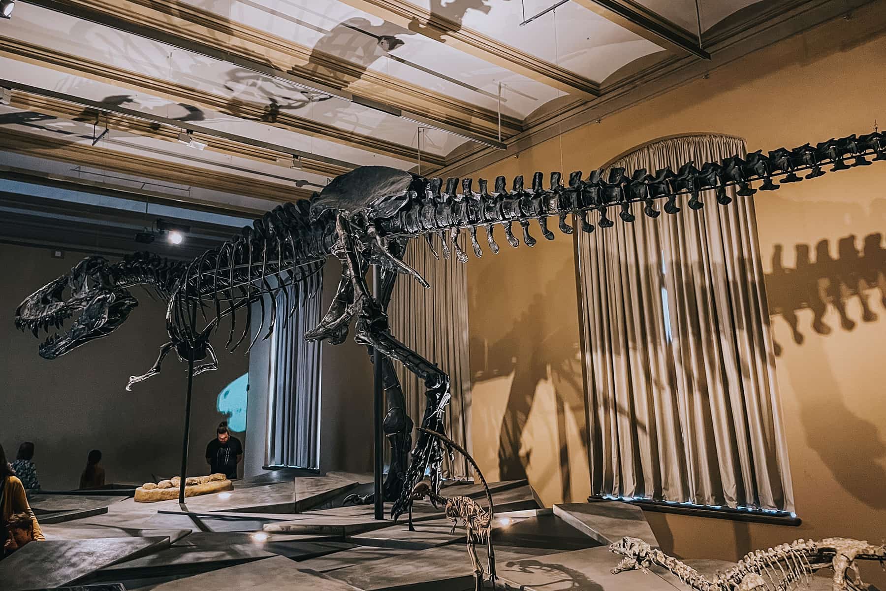 Museum für Naturkunde