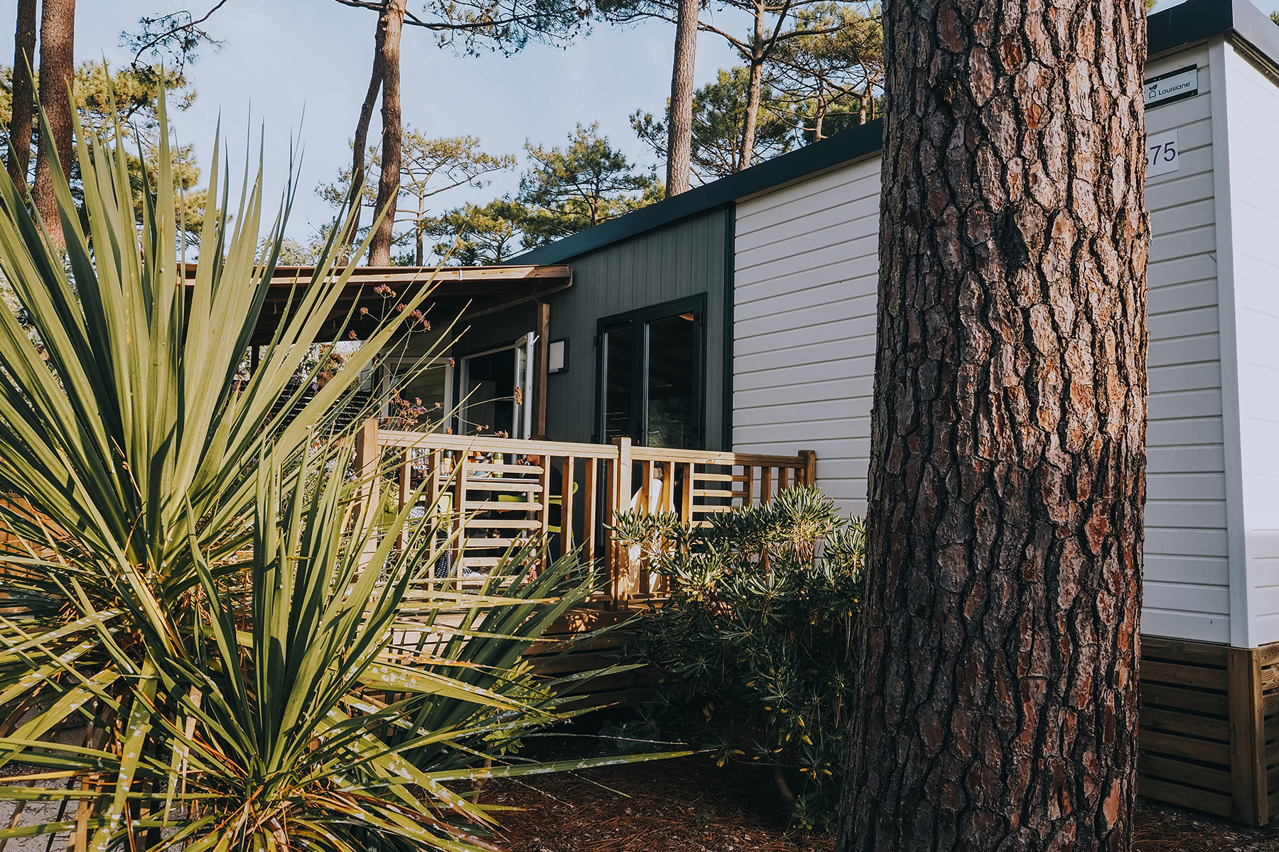 Camping & Spa Airotel l’Océan  in Lacanau in Frankreich