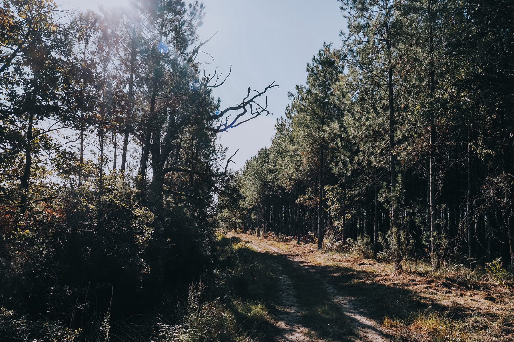 Reiten an der Atlantikküste in Frankreich