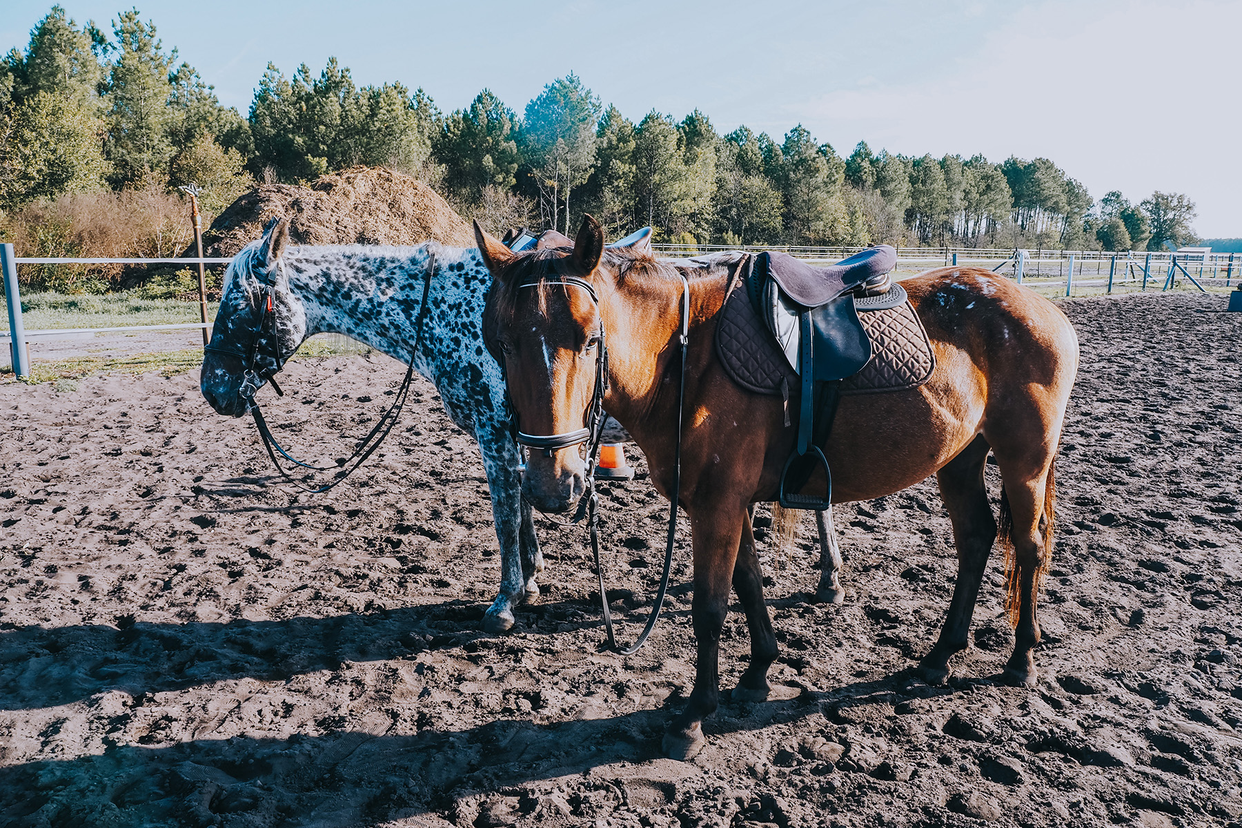 Reiten an der Atlantikküste in Frankreich