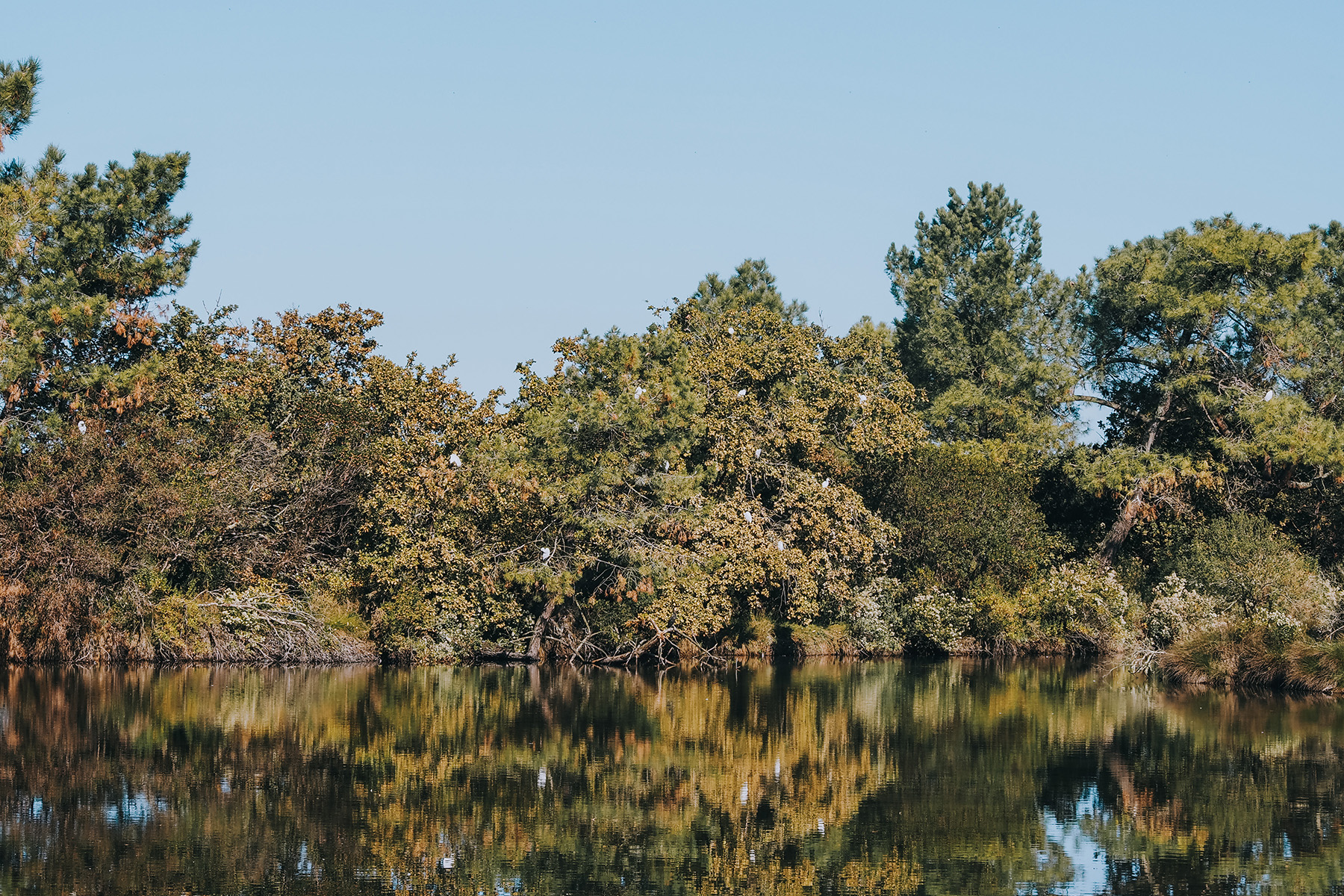 Naturreservat Prés Salés d‘Arès et Lège-Cap Ferret