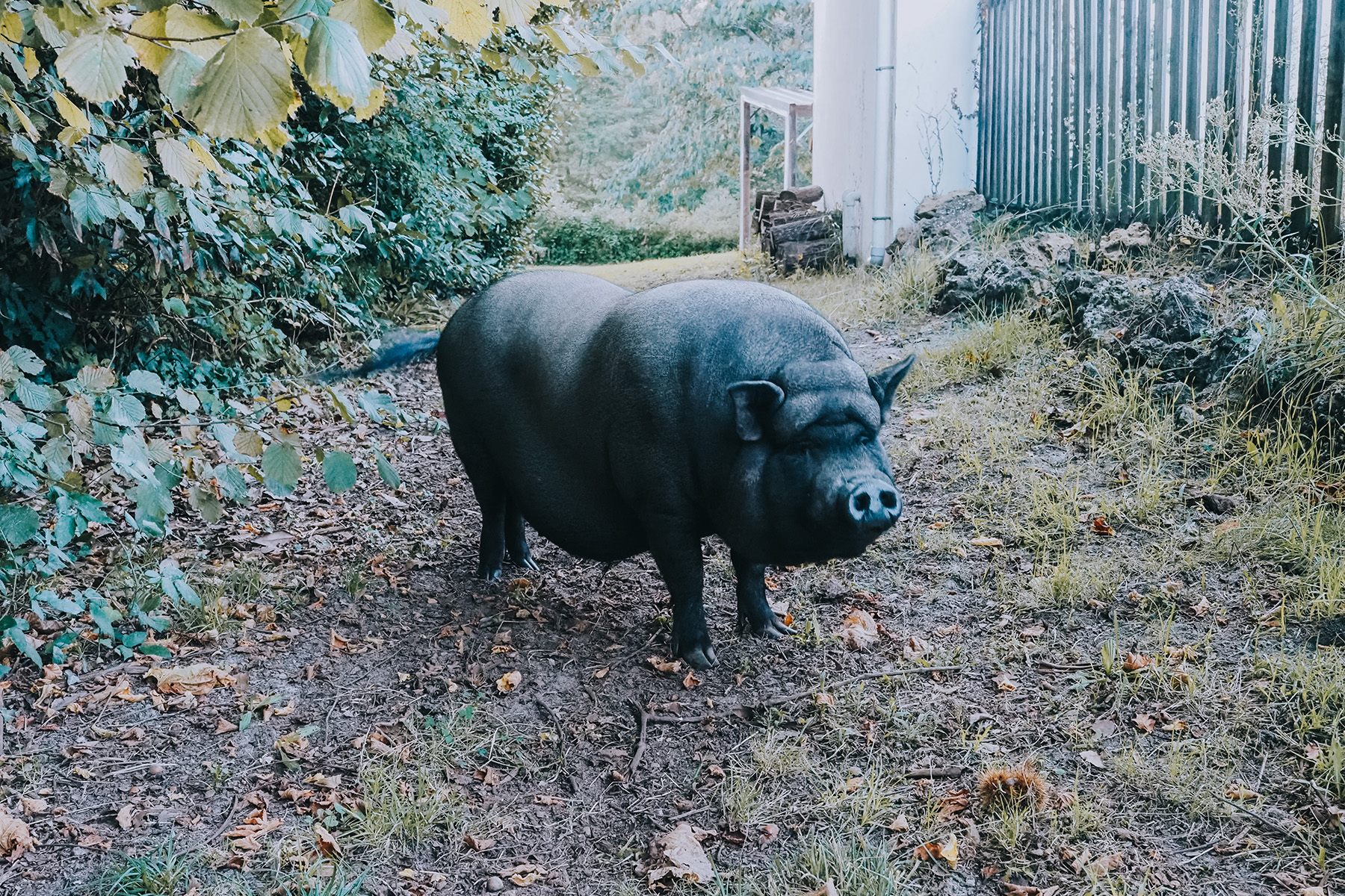 Maison de Mézos in Frankreich