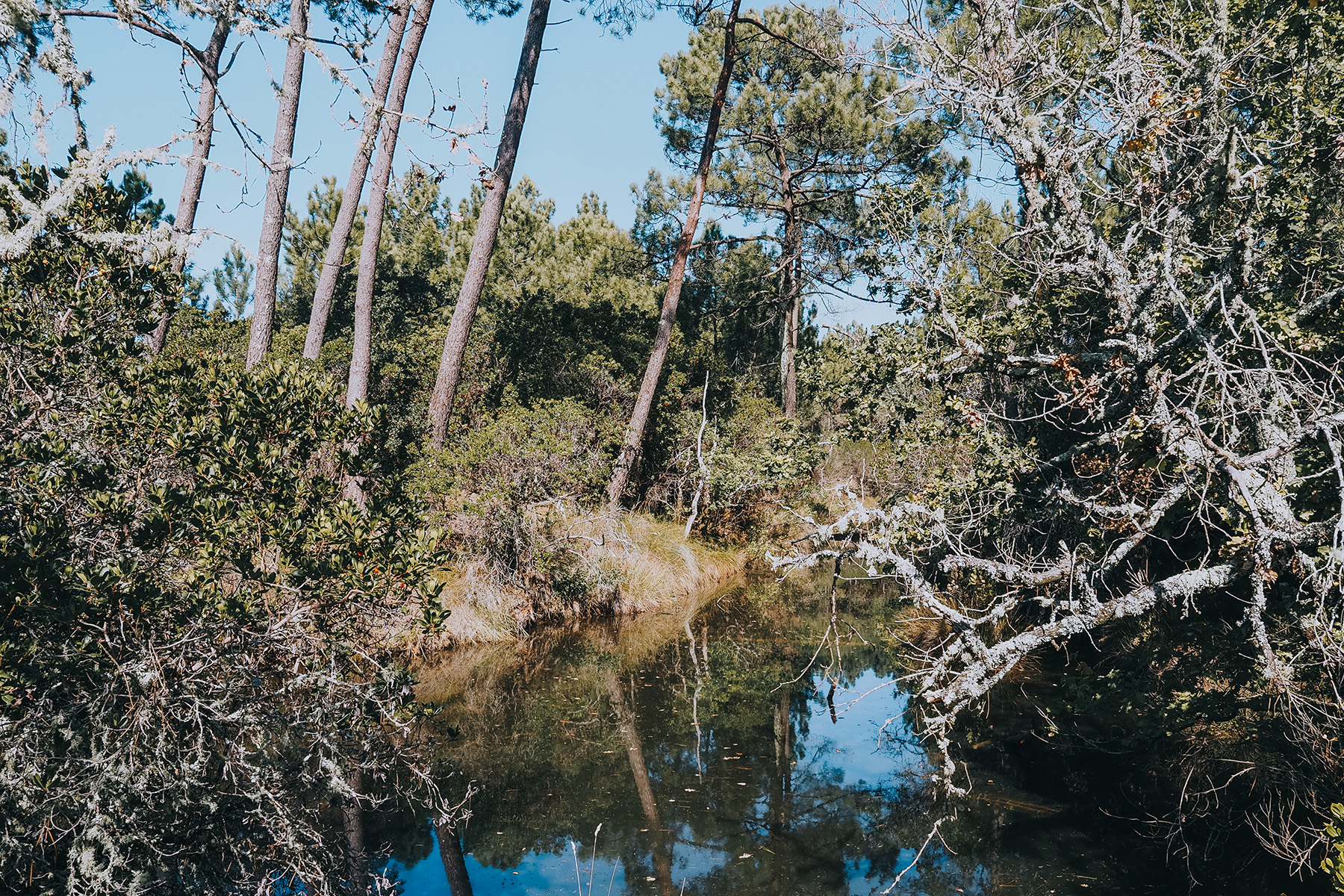 Naturreservat Prés Salés d‘Arès et Lège-Cap Ferret