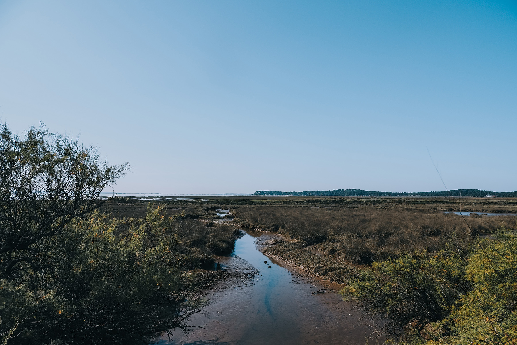 Naturreservat Prés salés d‘Arès et Lège-Cap Ferret