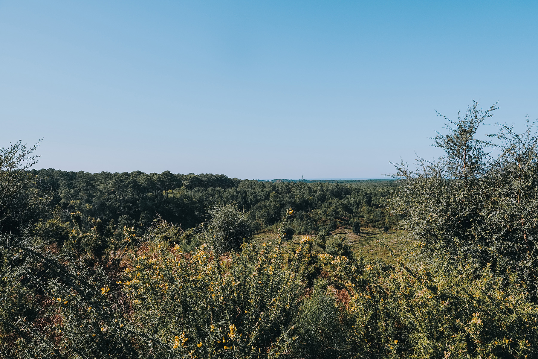 Trottinettes in Frankreich