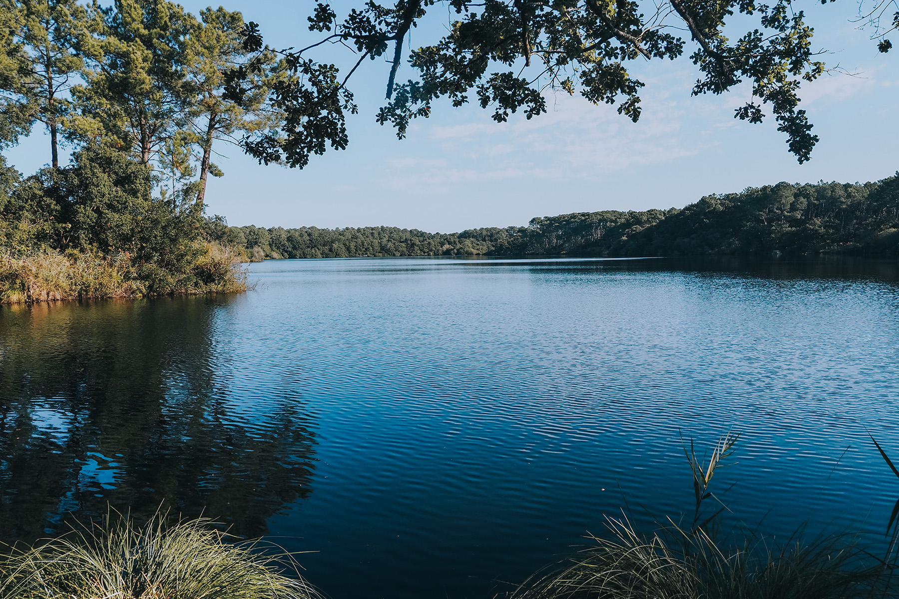 Trottinettes in Frankreich