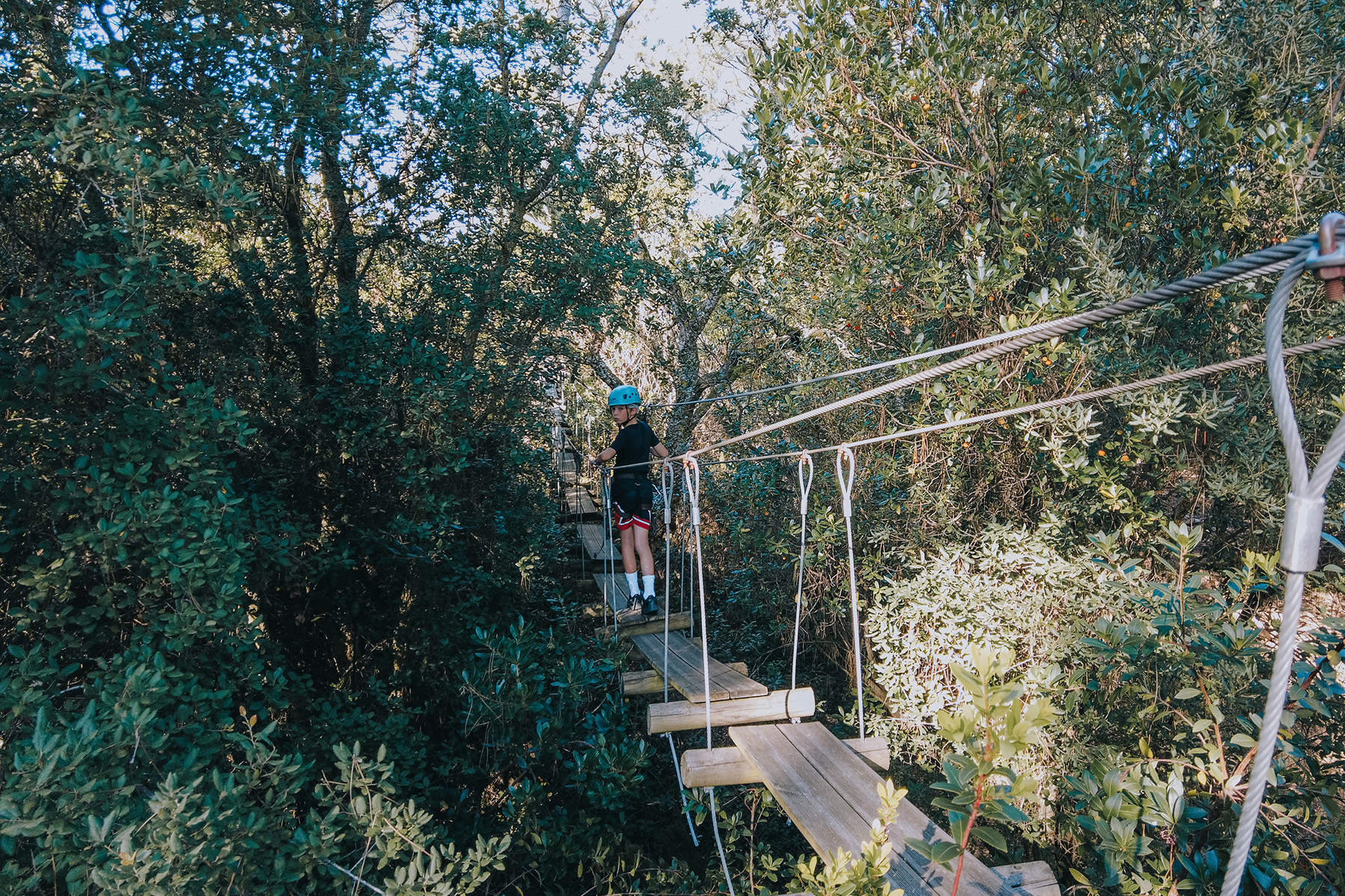 Parc Robinson Hochseilgarten und Kletterpark in Frankreich