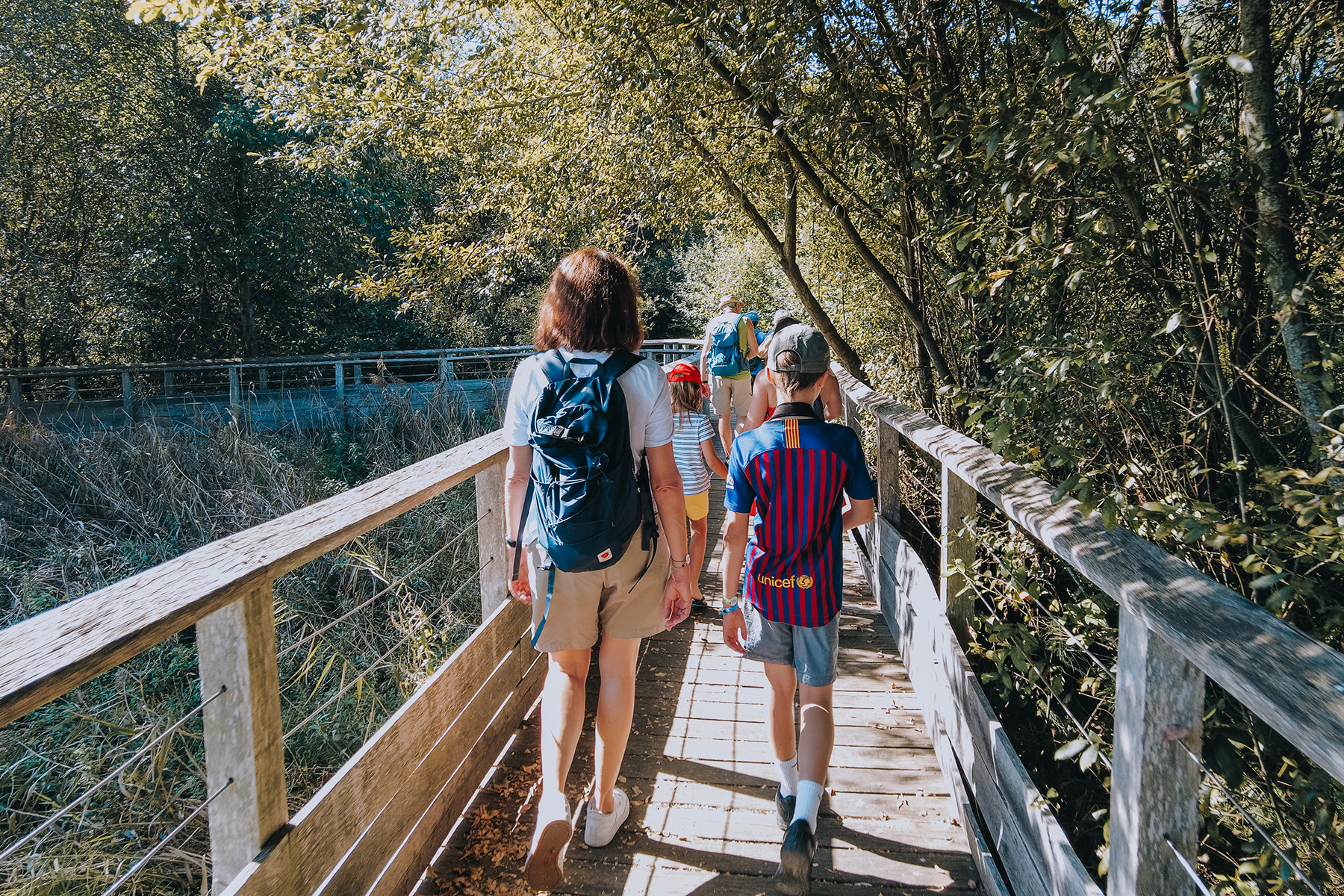 Naturreservat Marais d‘Orx in Labenne in Frankreich