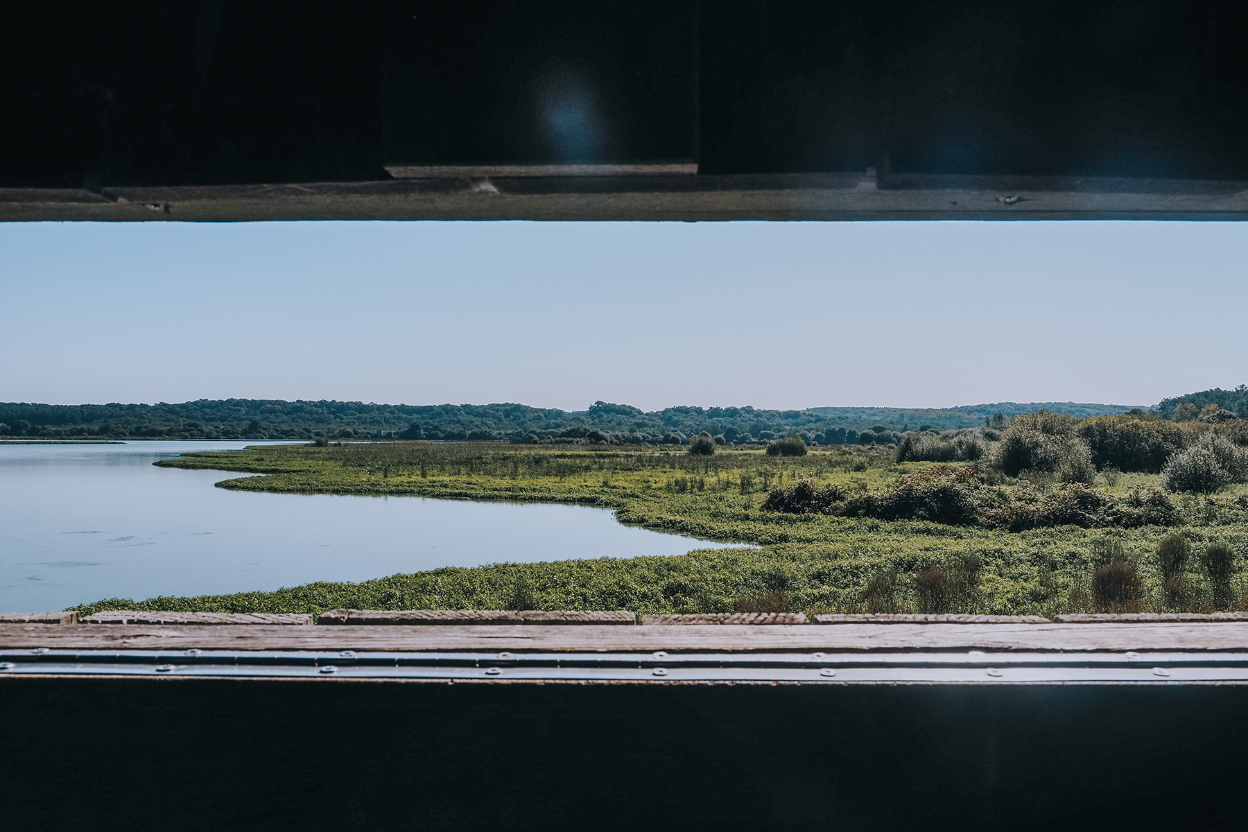 Naturreservat Marais d‘Orx in Labenne in Frankreich