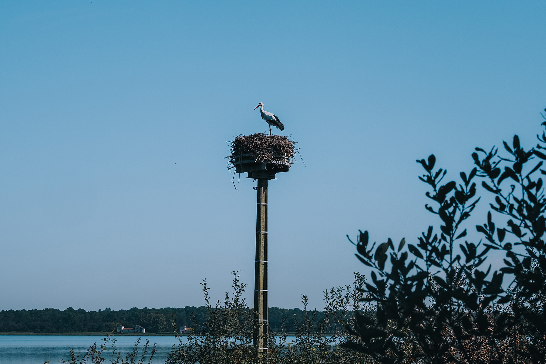 Naturreservat Marais d‘Orx in Labenne in Frankreich