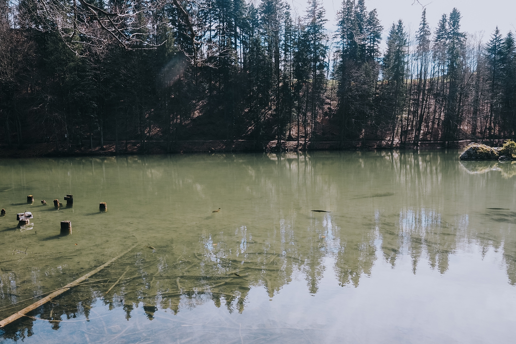 Berglsteiner See Alpachtal