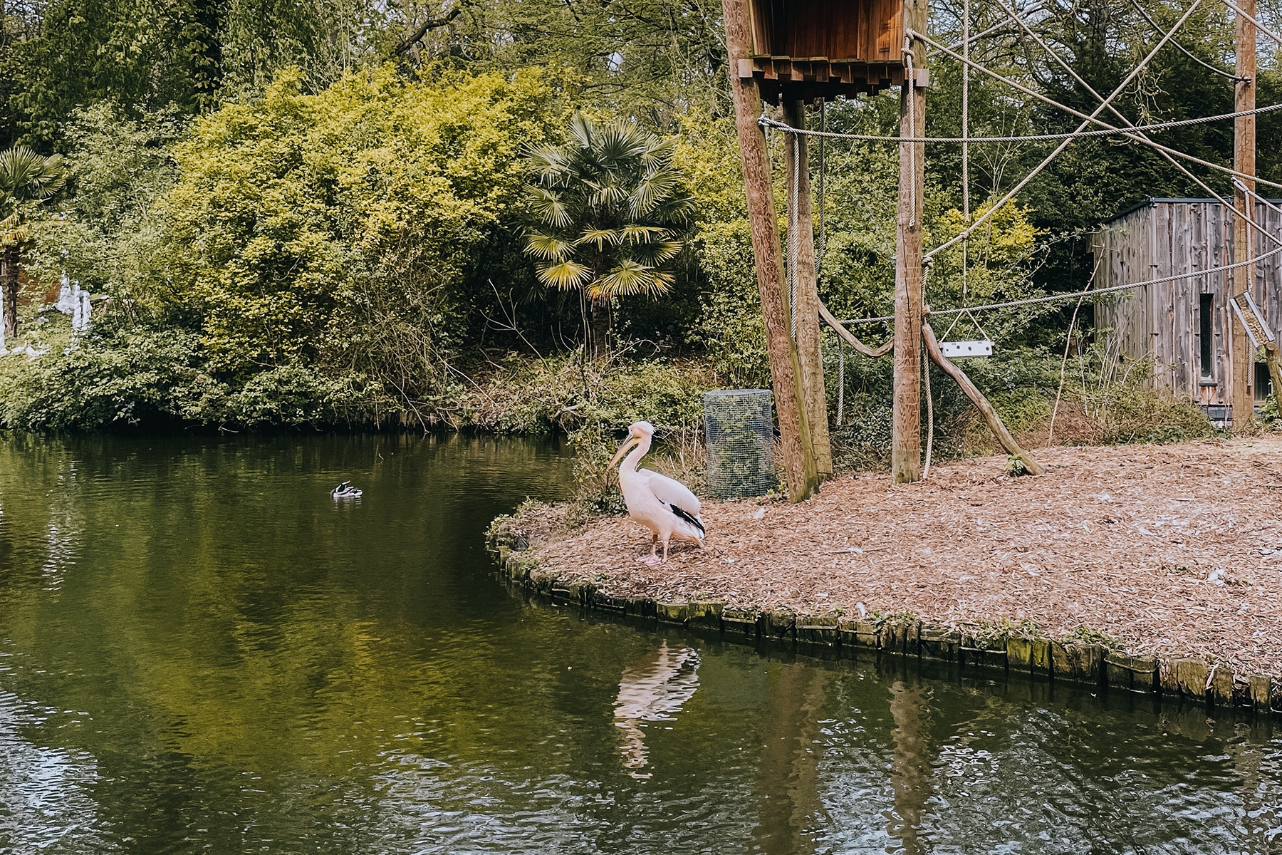 Städtereise nach Lille in Frankreich Zoo